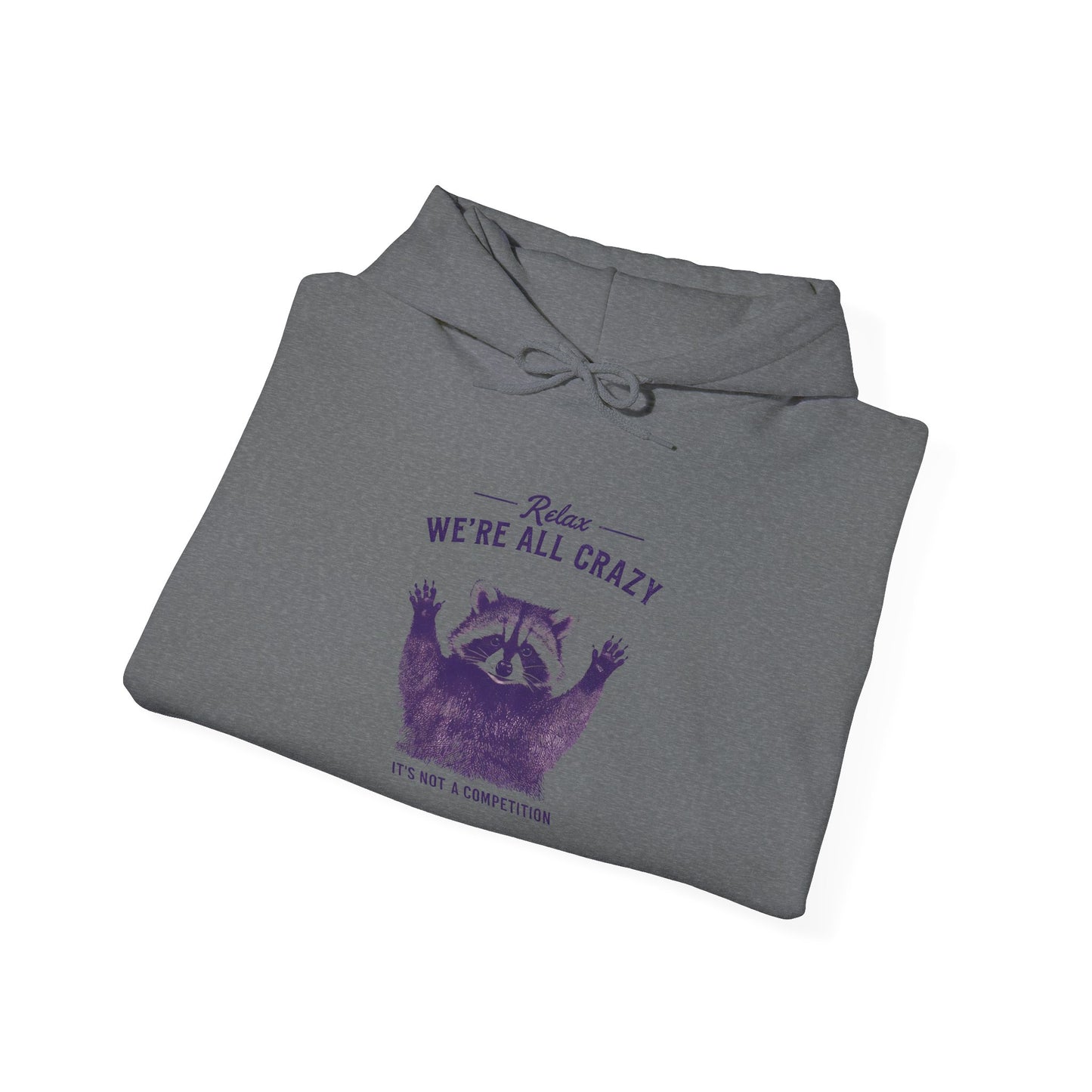 Vintage Classic Raccoon Hoodie