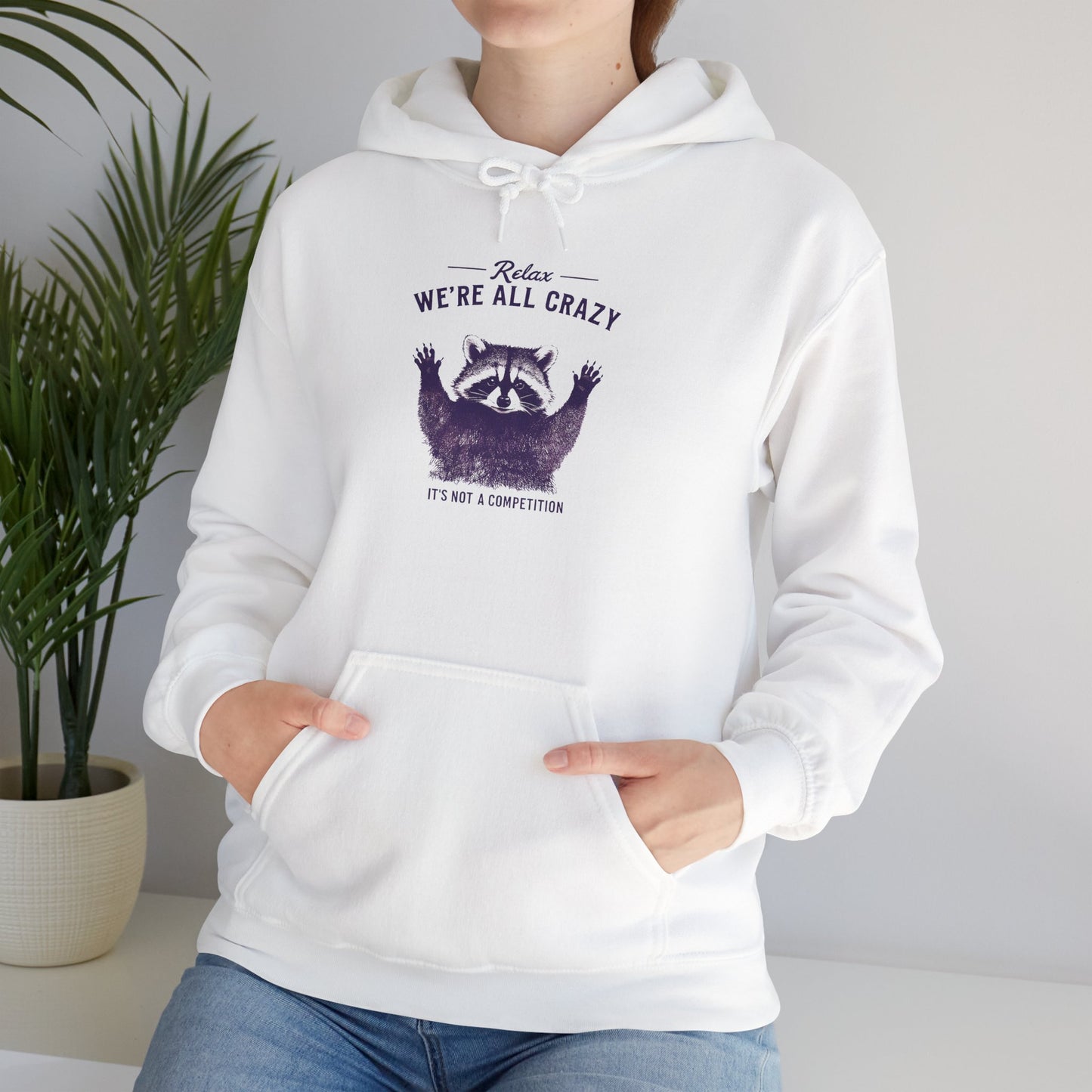 Vintage Classic Raccoon Hoodie