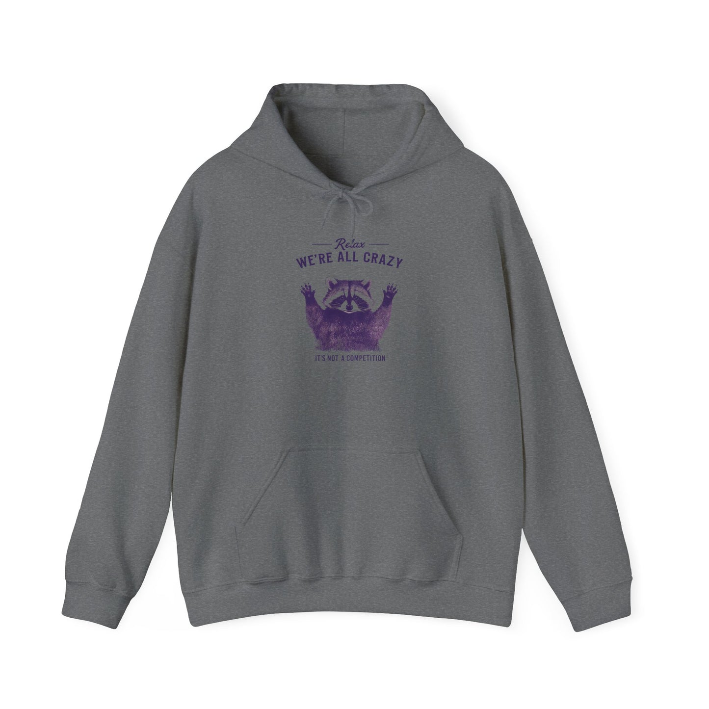 Vintage Classic Raccoon Hoodie