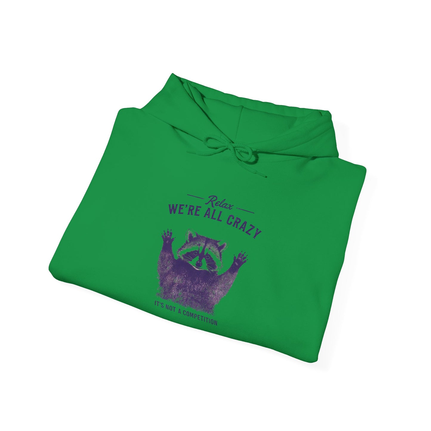 Vintage Classic Raccoon Hoodie