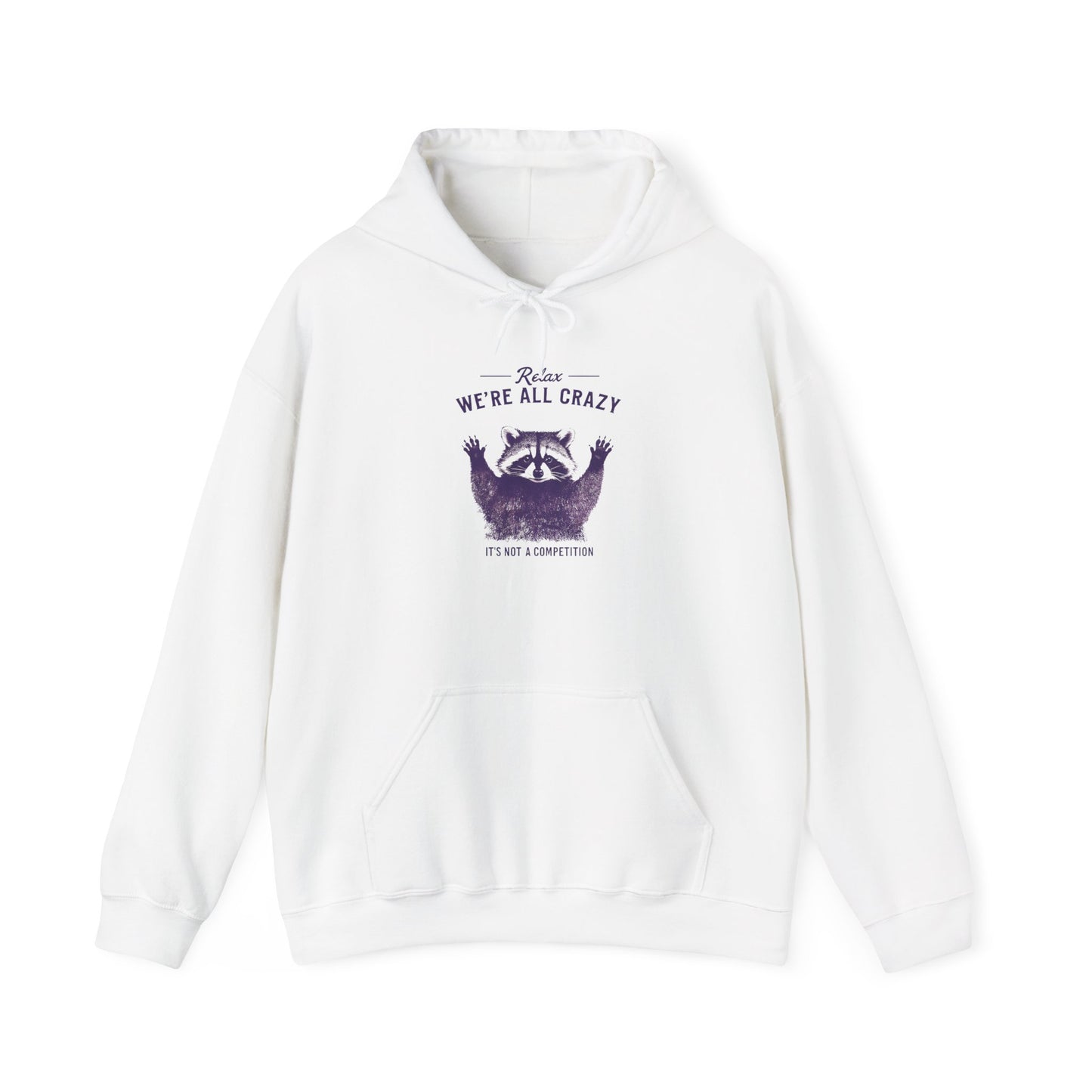 Vintage Classic Raccoon Hoodie