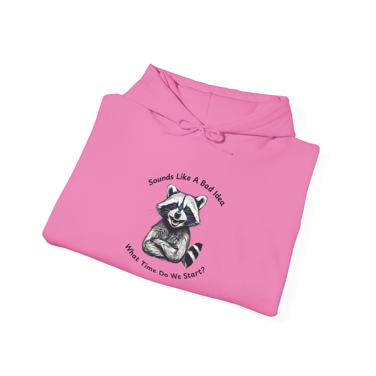 Vintage Hooded Sweatshirt Raccoon Sounds Like A Bad Idea Hoodie
