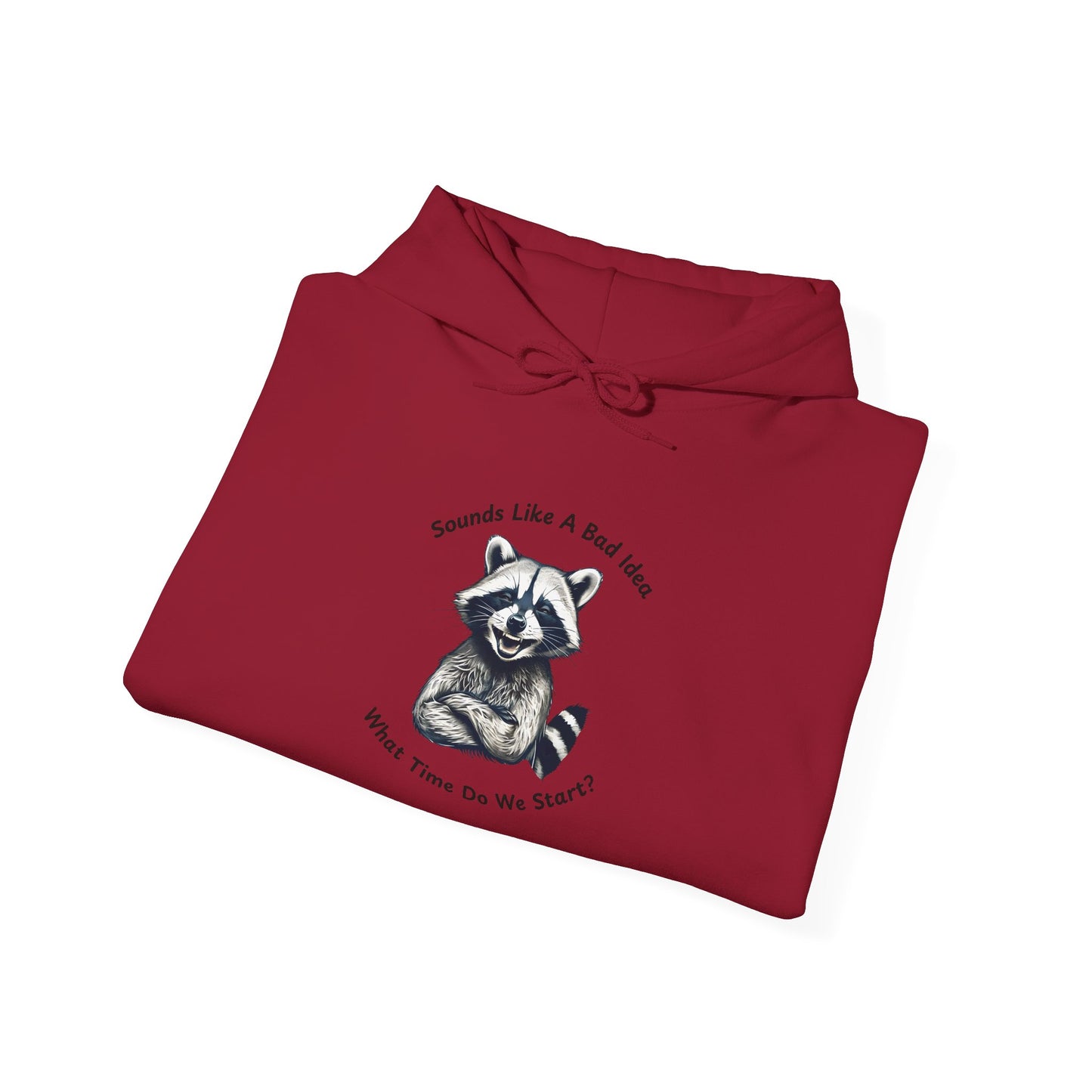 Vintage Hooded Sweatshirt Raccoon Sounds Like A Bad Idea Hoodie