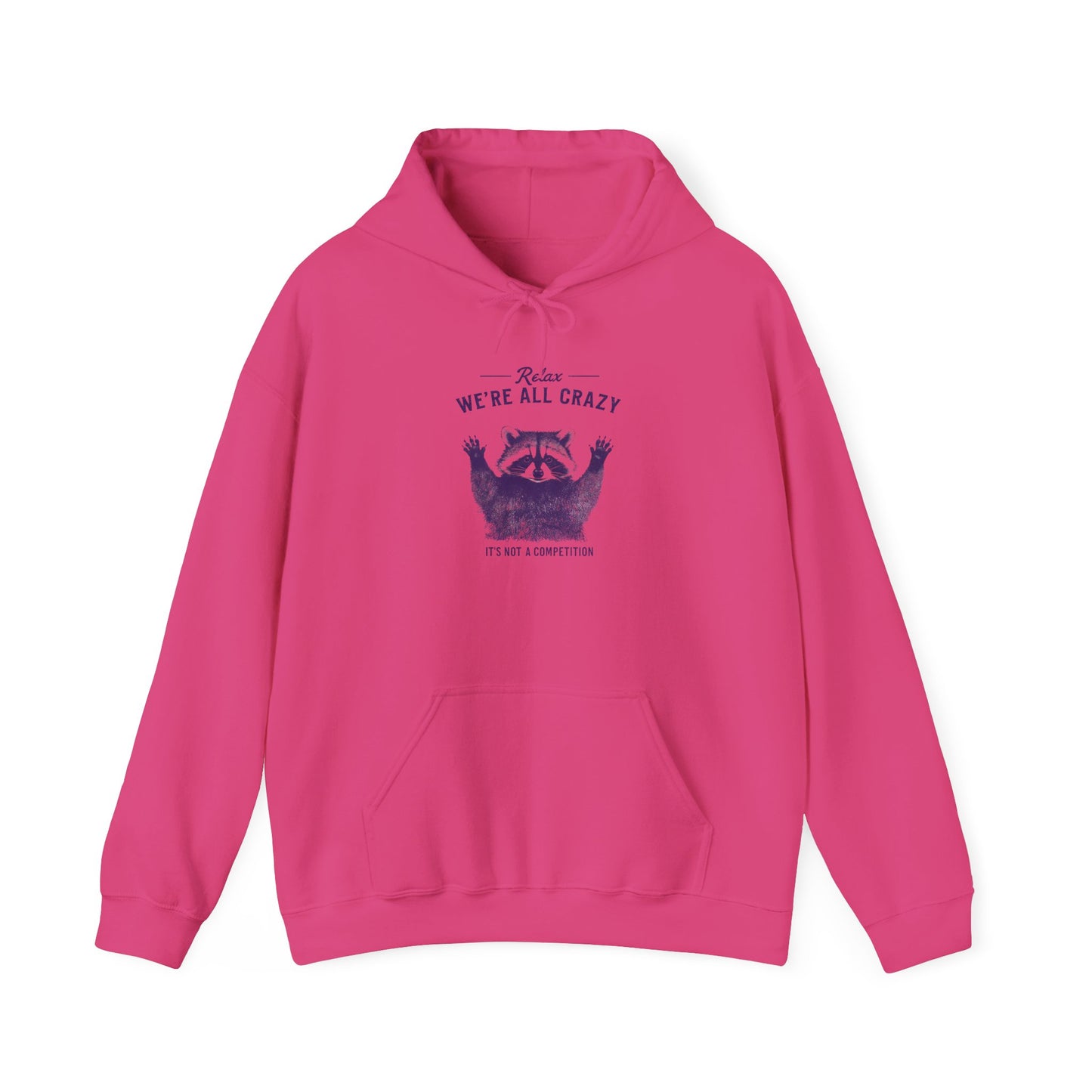 Vintage Classic Raccoon Hoodie