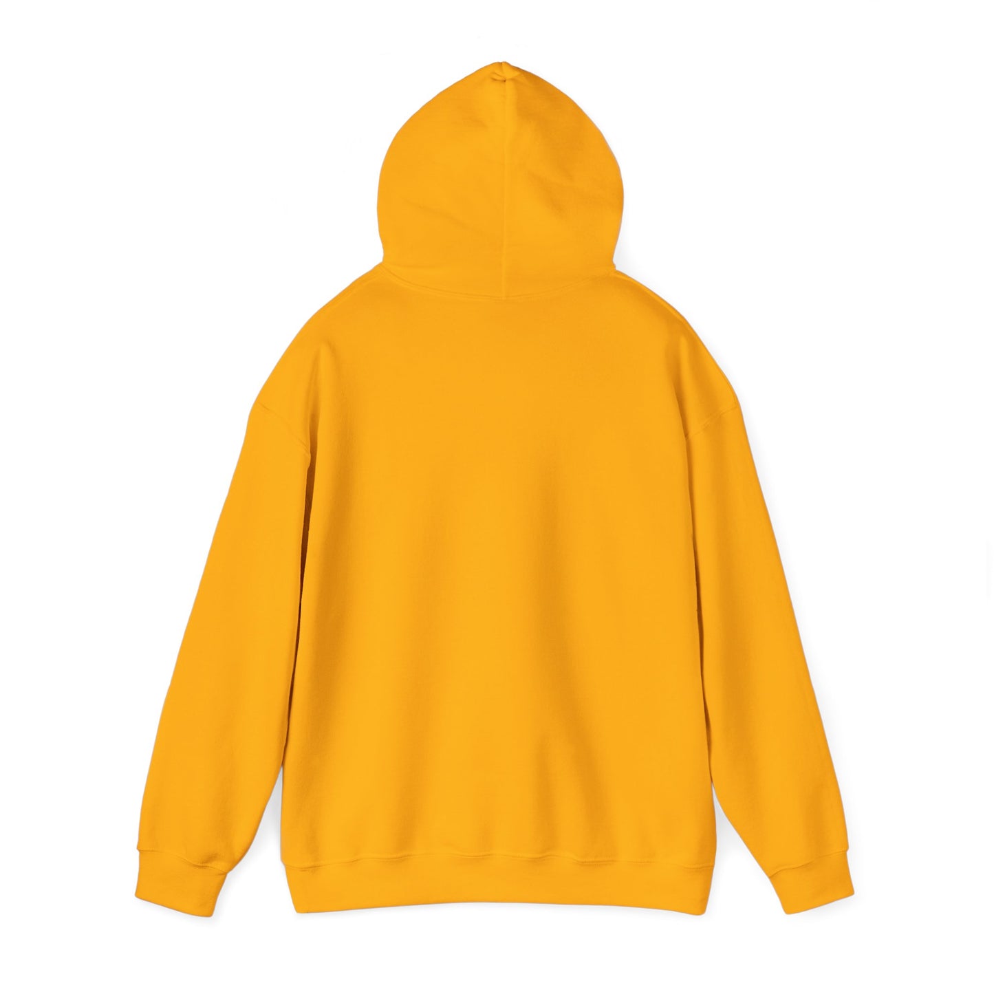 Vintage Hooded Sweatshirt Raccoon Sounds Like A Bad Idea Hoodie