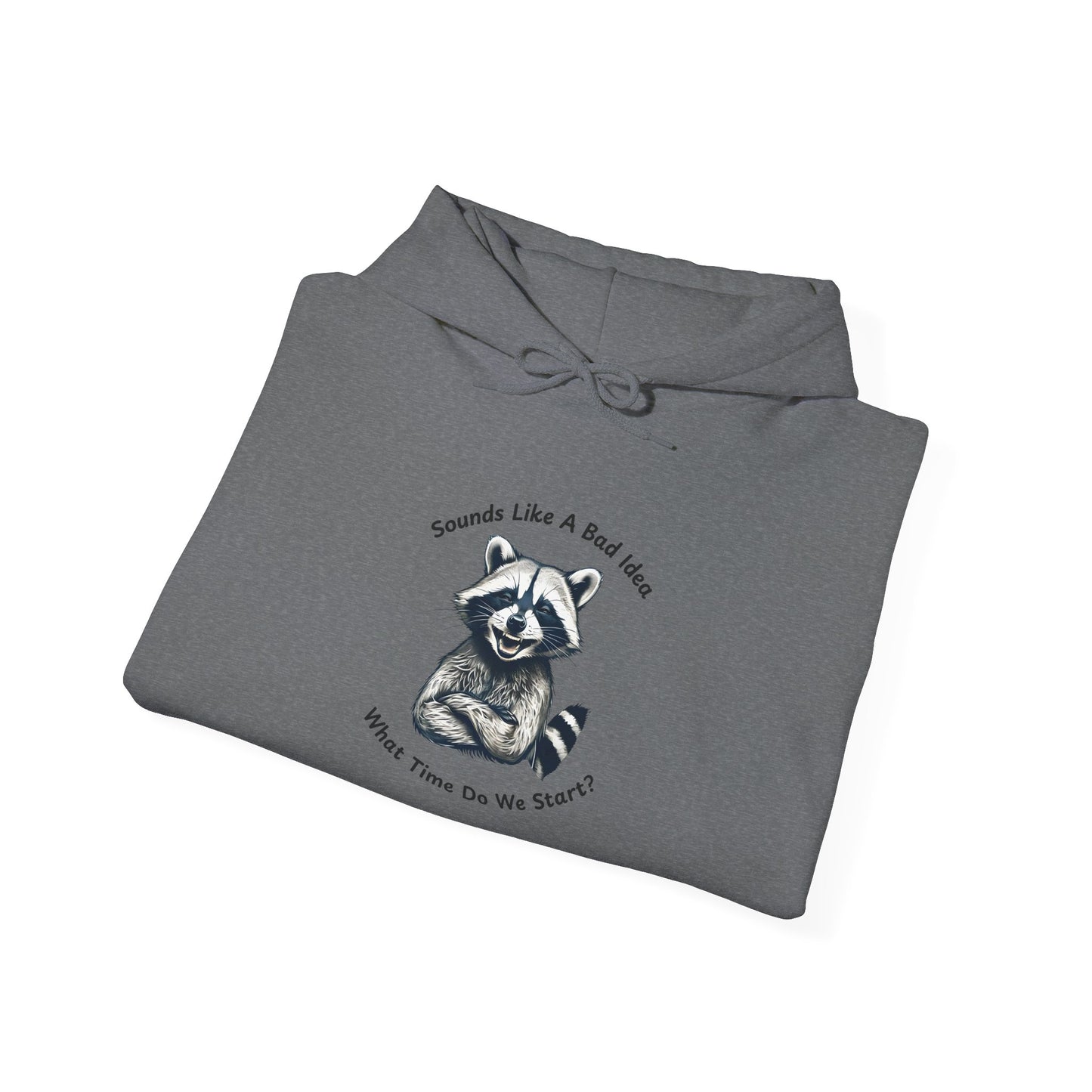 Vintage Hooded Sweatshirt Raccoon Sounds Like A Bad Idea Hoodie