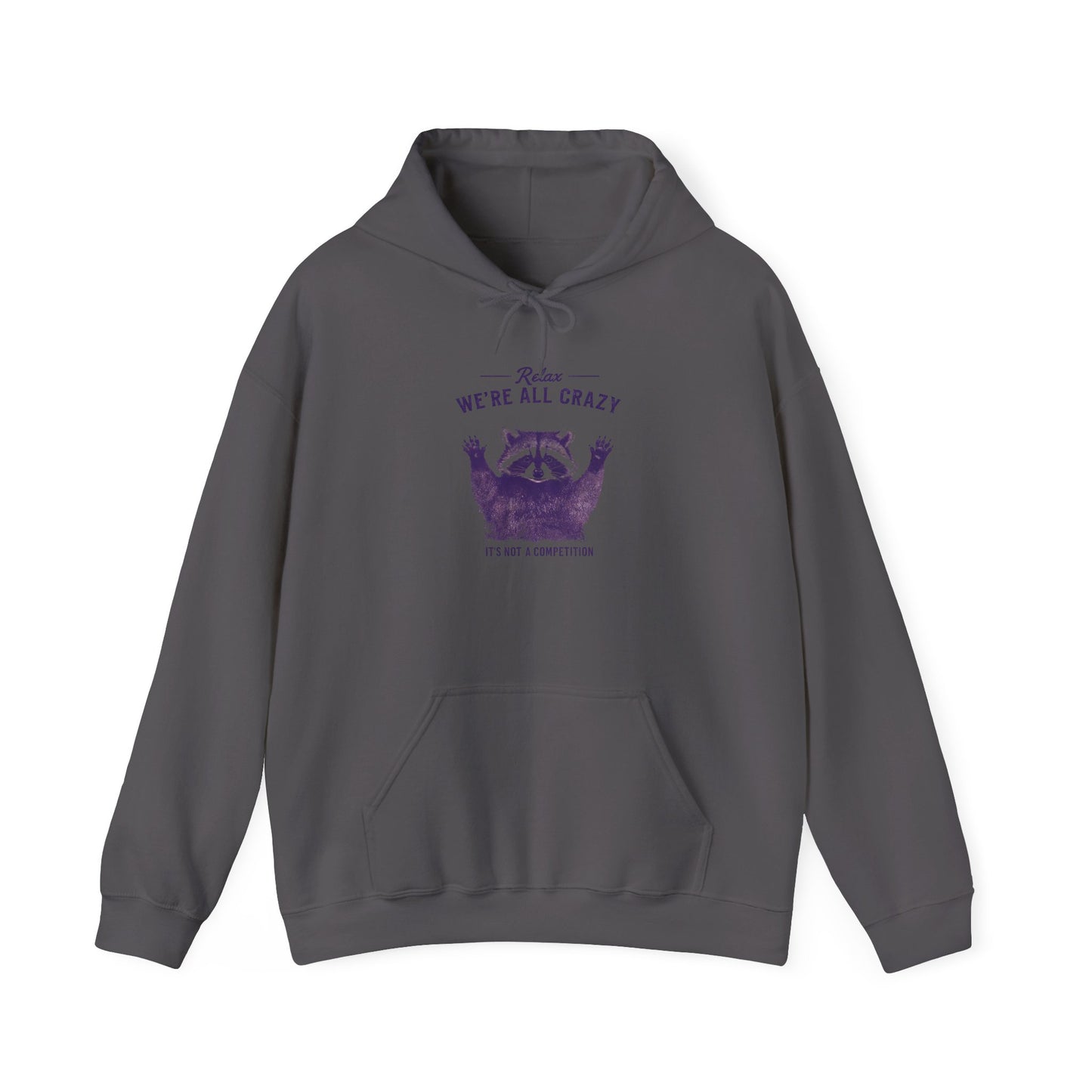 Vintage Classic Raccoon Hoodie