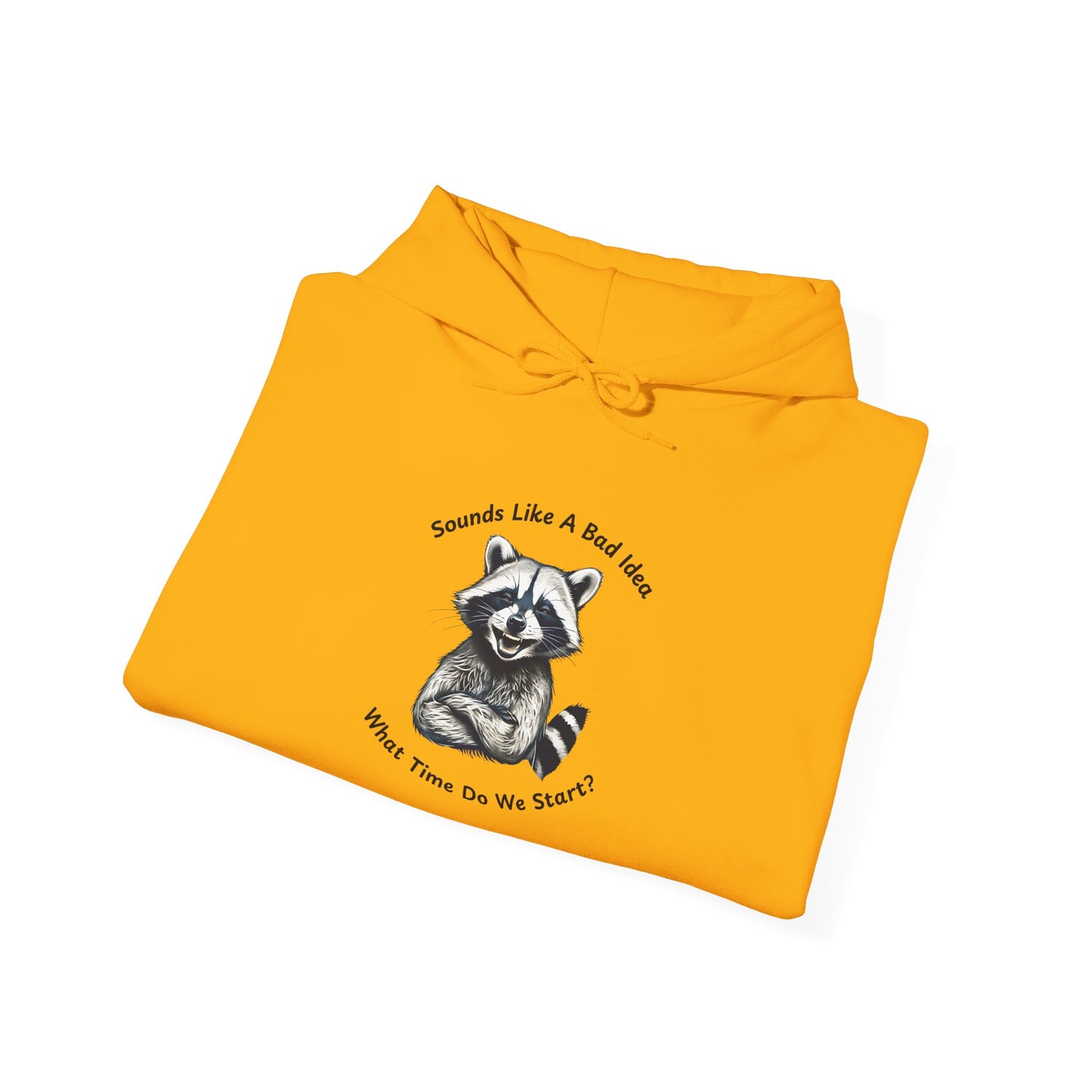Vintage Hooded Sweatshirt Raccoon Sounds Like A Bad Idea Hoodie