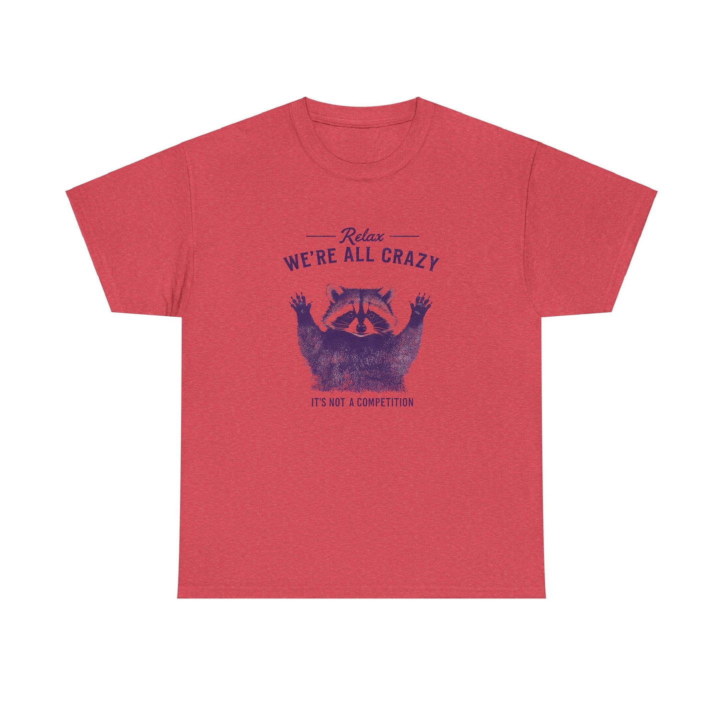 Vintage Classic Raccoon Tee T-Shirt