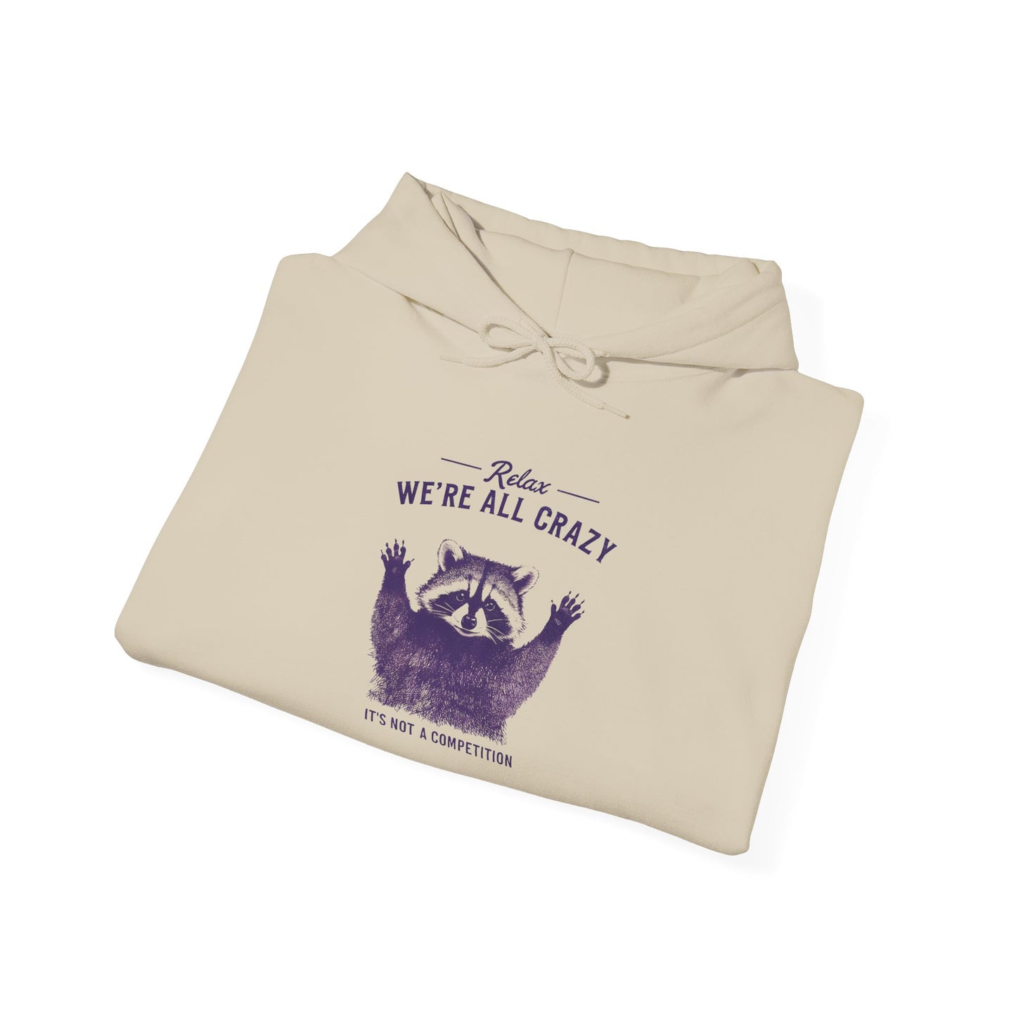 Vintage Classic Raccoon Hoodie