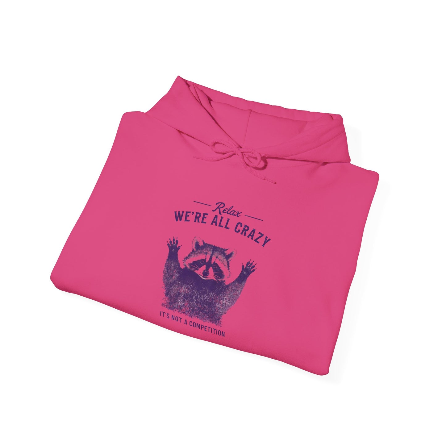 Vintage Classic Raccoon Hoodie