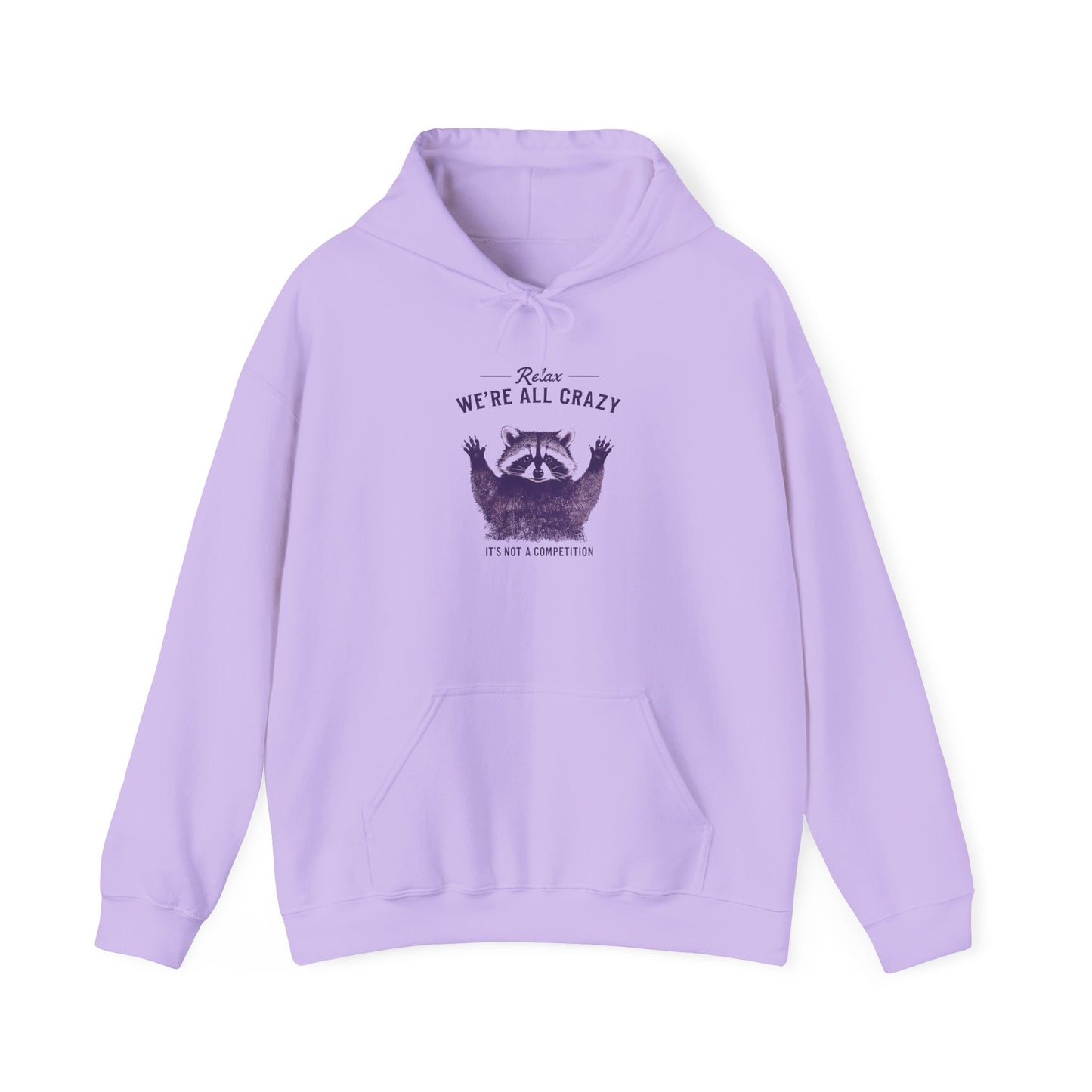 Vintage Classic Raccoon Hoodie