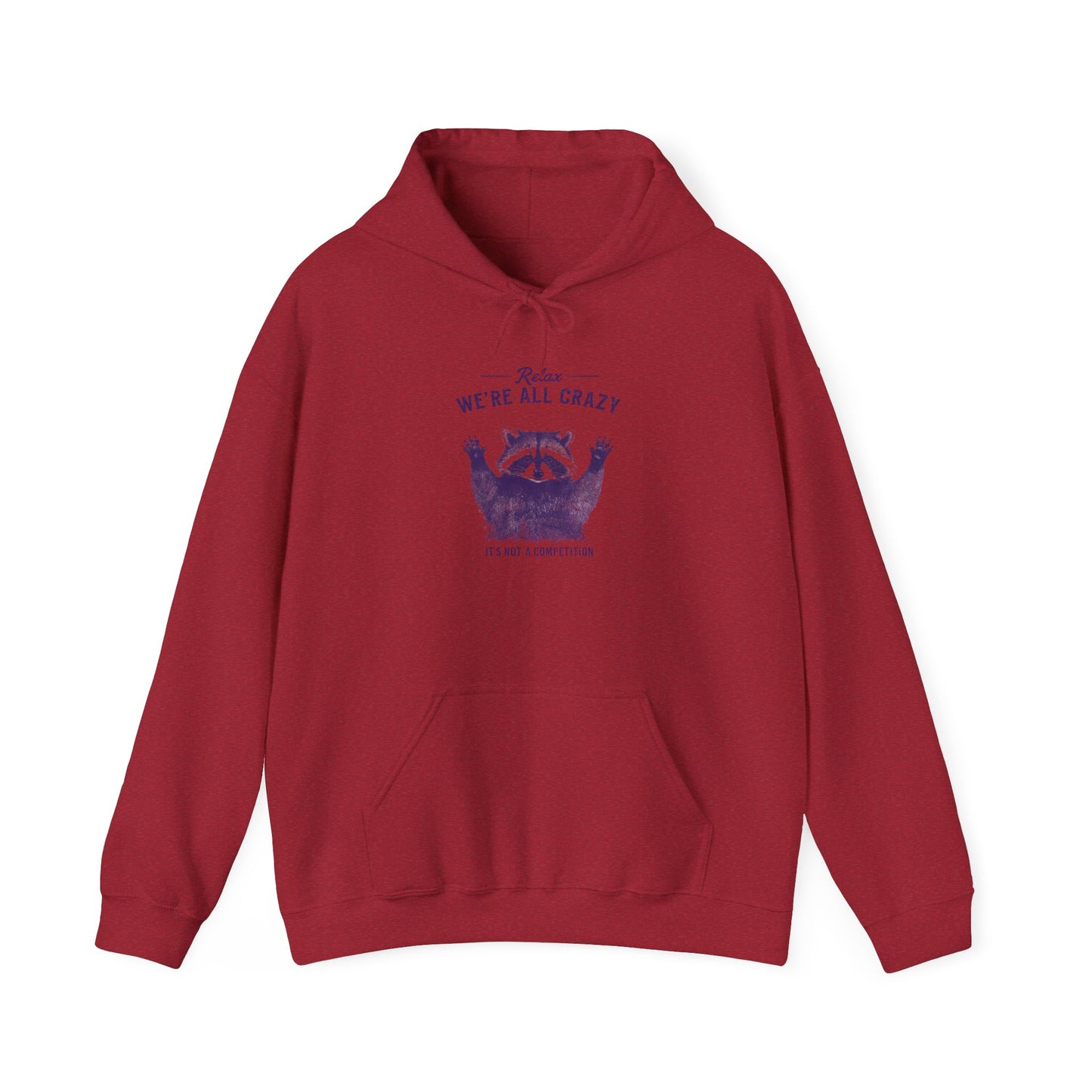 Vintage Classic Raccoon Hoodie