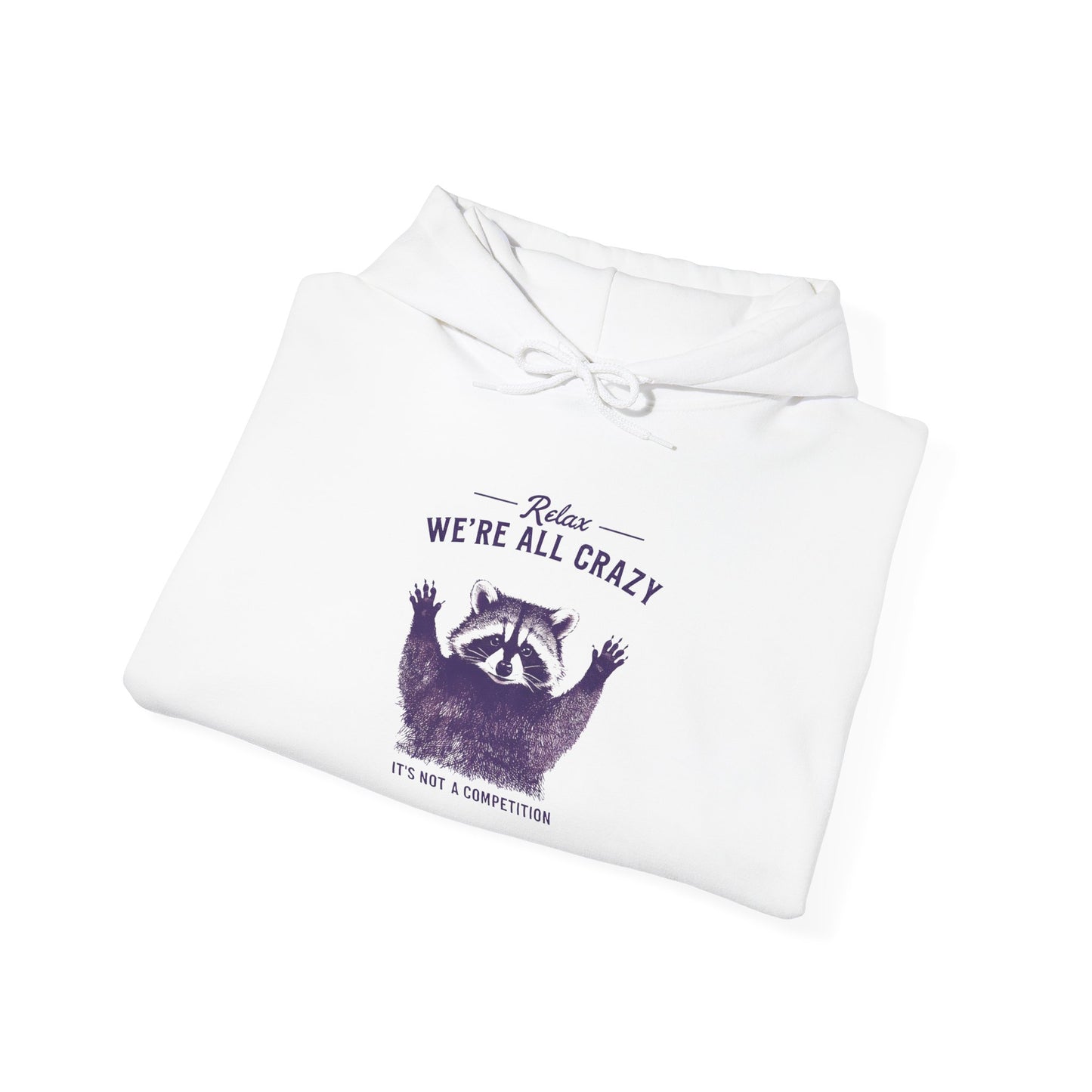 Vintage Classic Raccoon Hoodie