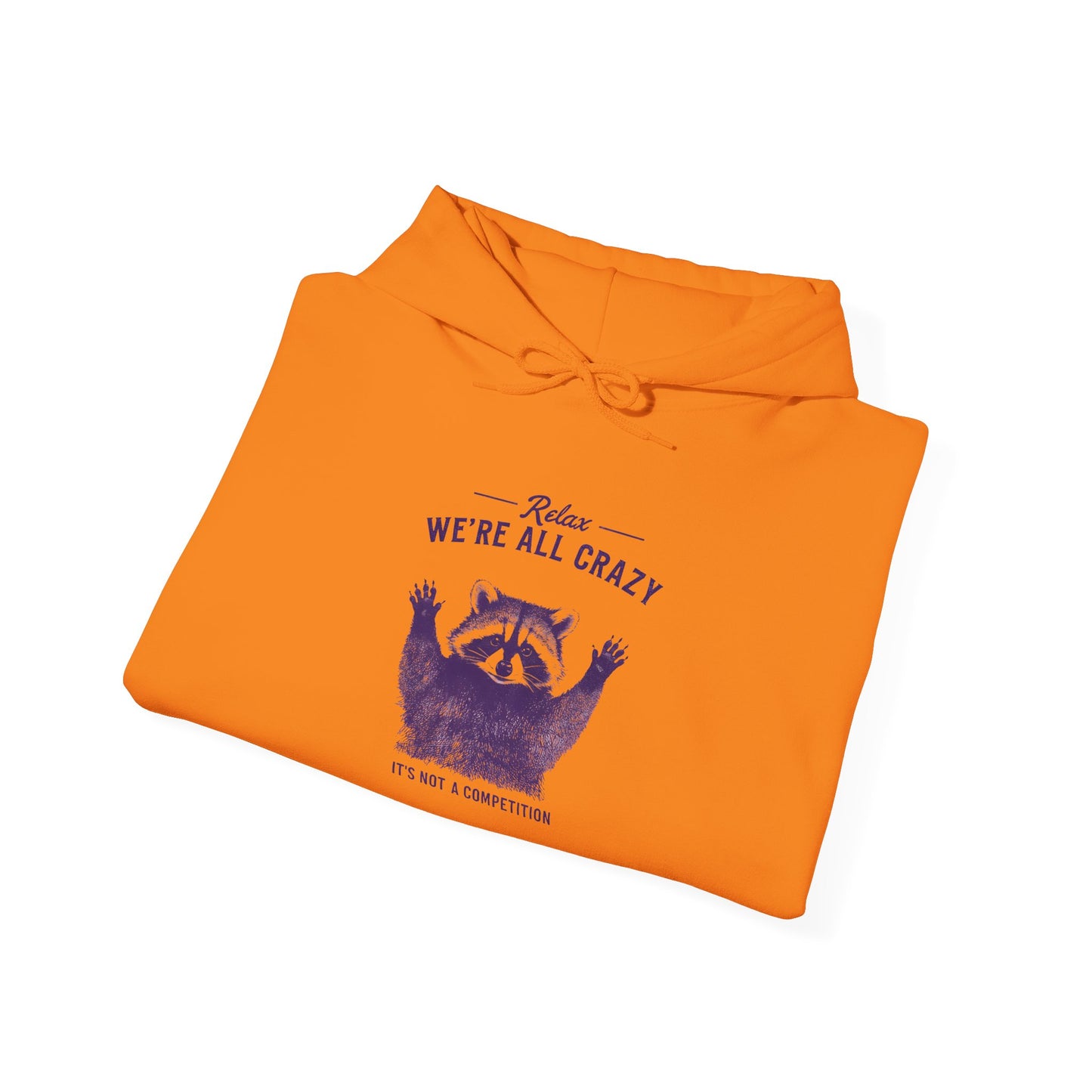 Vintage Classic Raccoon Hoodie