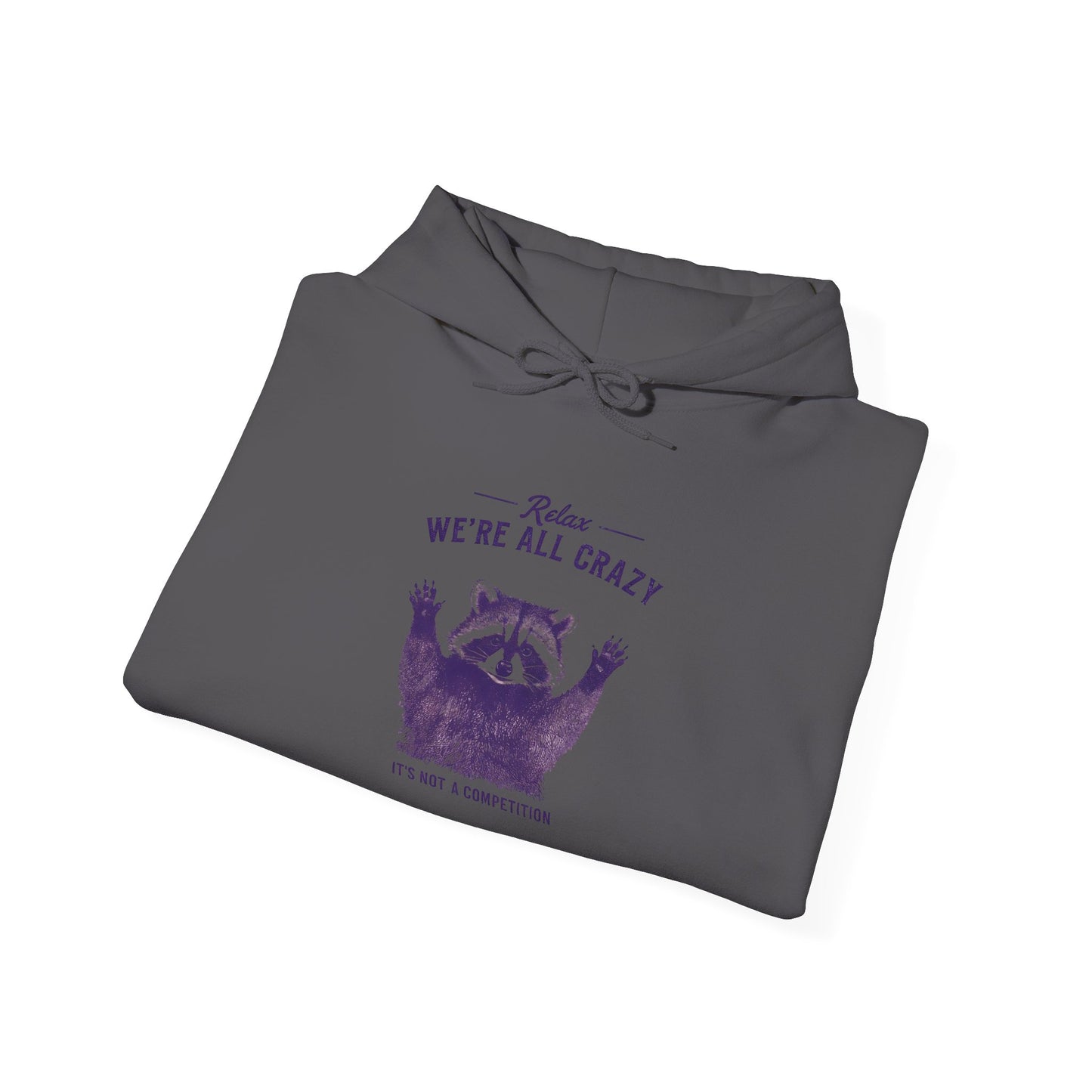 Vintage Classic Raccoon Hoodie