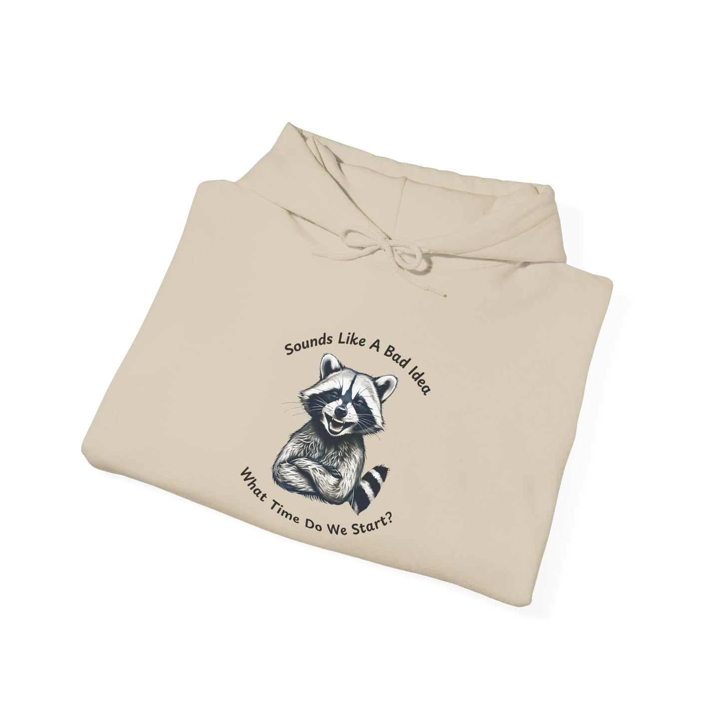 Vintage Hooded Sweatshirt Raccoon Sounds Like A Bad Idea Hoodie