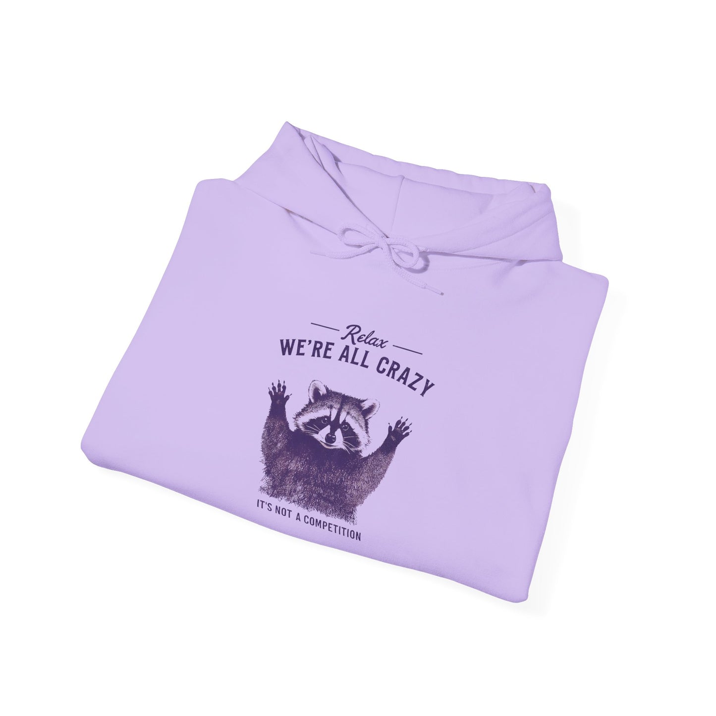 Vintage Classic Raccoon Hoodie