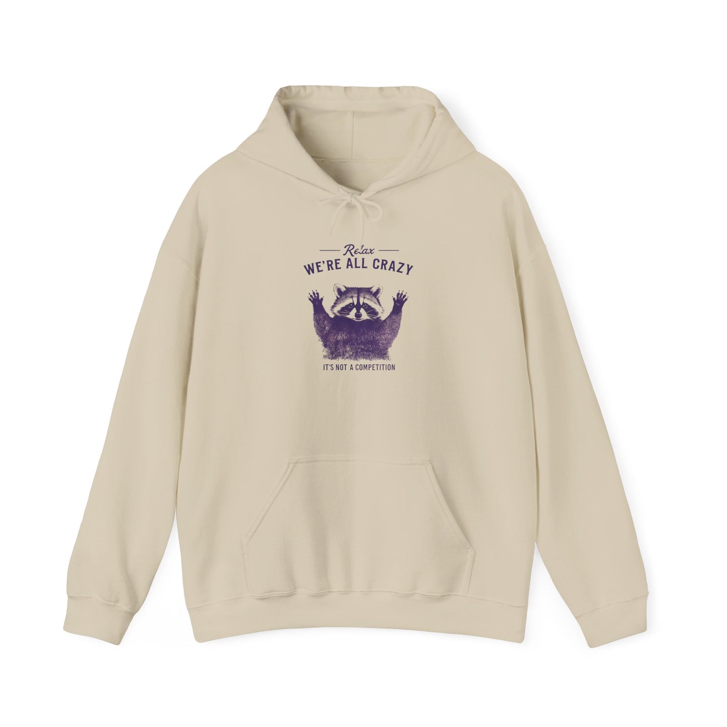 Vintage Classic Raccoon Hoodie