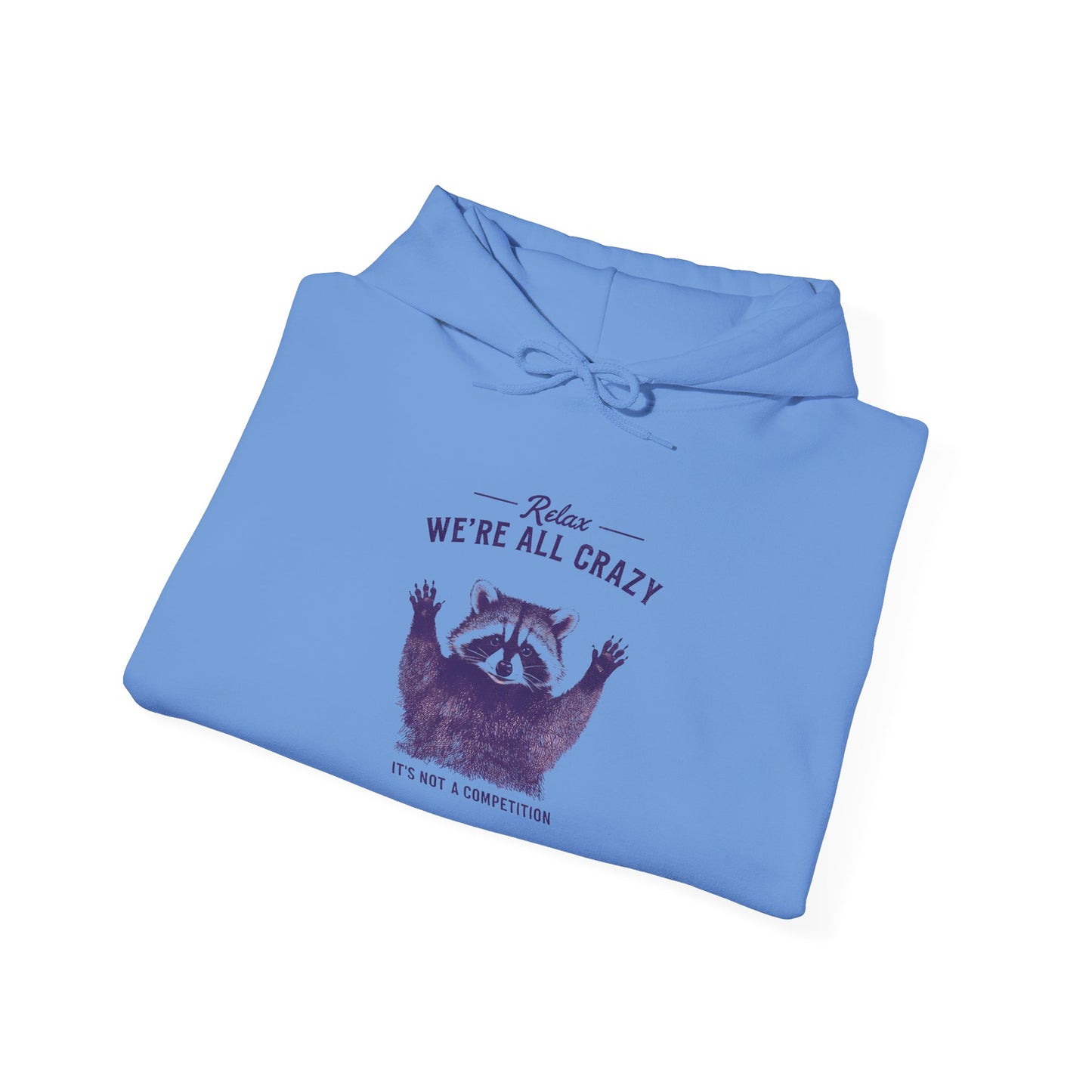 Vintage Classic Raccoon Hoodie