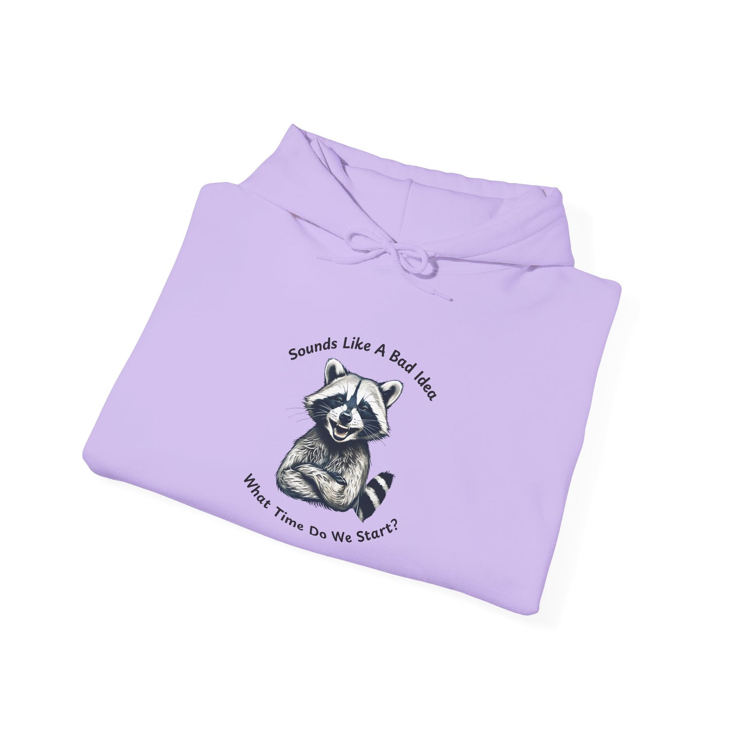 Vintage Hooded Sweatshirt Raccoon Sounds Like A Bad Idea Hoodie