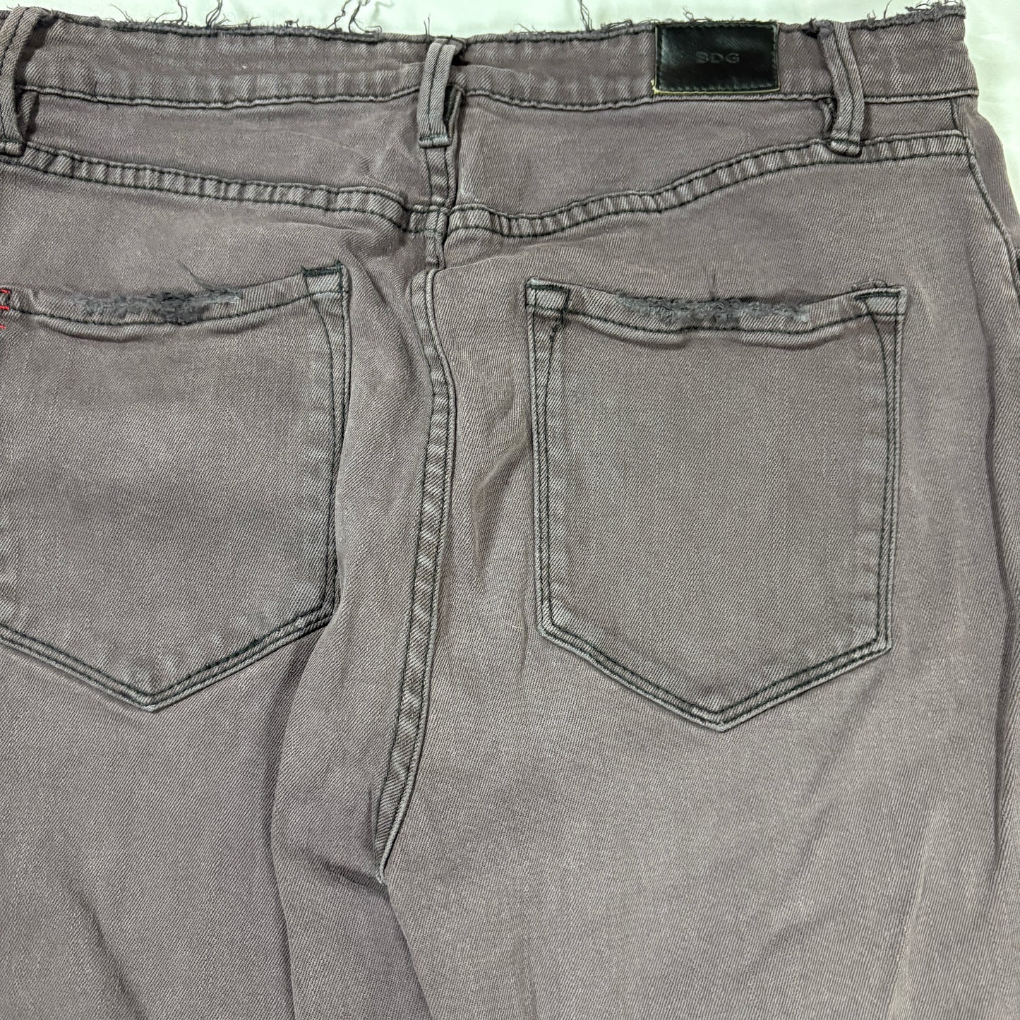 BDG Jeans Women’s 30W 29L High Rise Twig Ankle Gray Slim Raw Hem Floral Patch