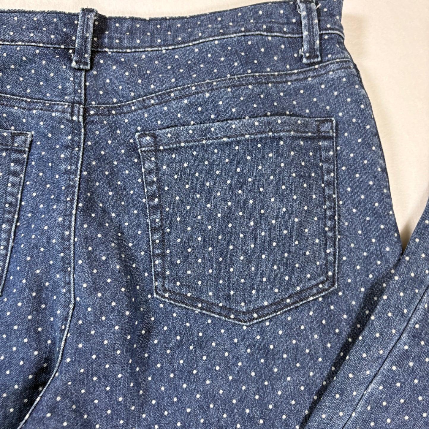 Gloria Vanderbilt Amanda Jeans Women’s 14P Petite Blue Polka Dot Denim Straight