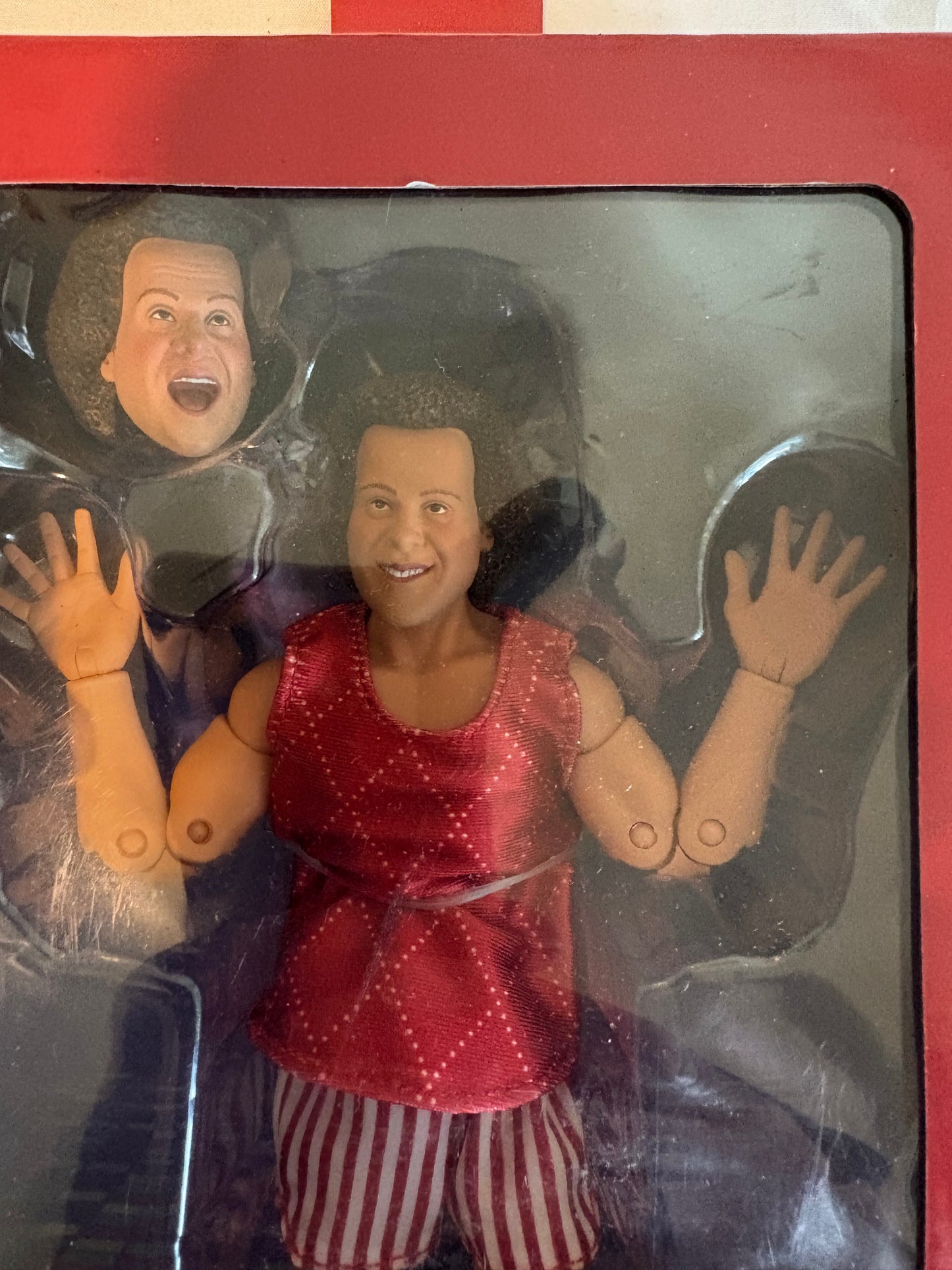 Richard Simmons Action Figure New in Box 90s Style Collectible Talking Doll