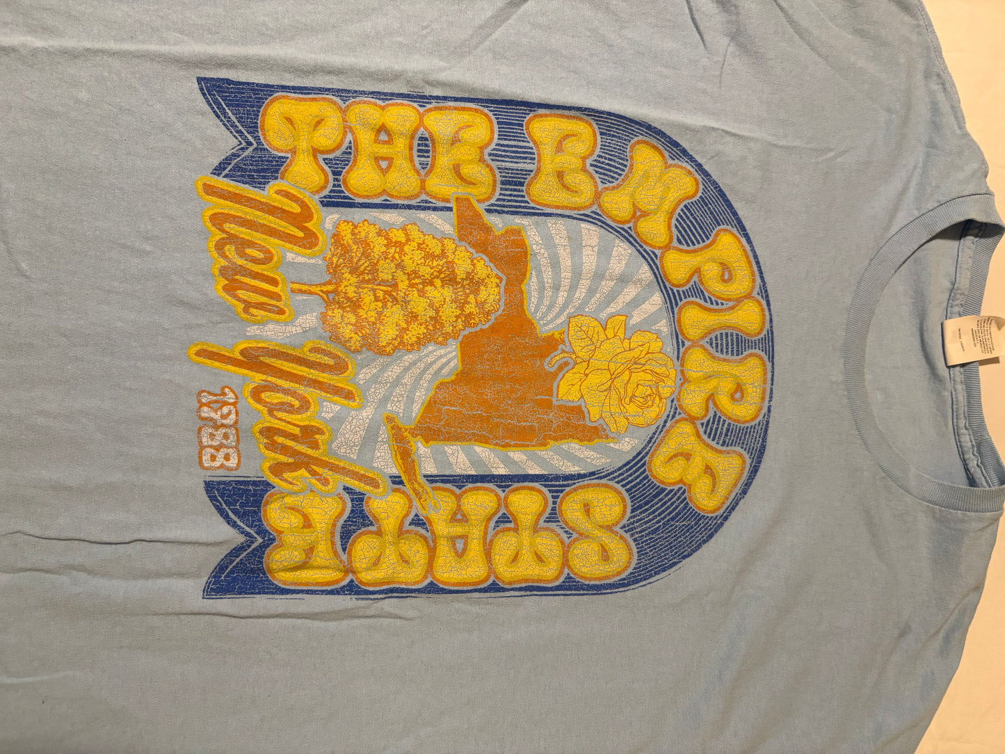 Hanes XL Blue Empire State New York 1788 Graphic T-Shirt Short Sleeve Cotton Blend