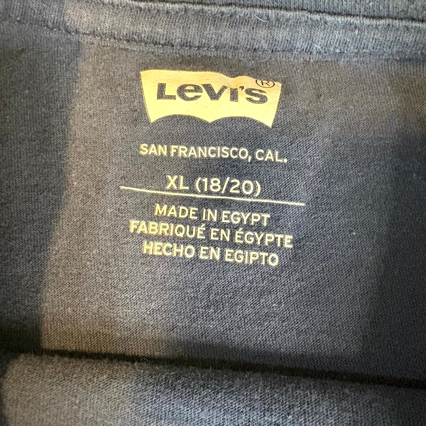 Levi’s Boys XL 18/20 Navy Blue Graphic T-Shirt Outdoor Logo Short Sleeve Cotton Tee