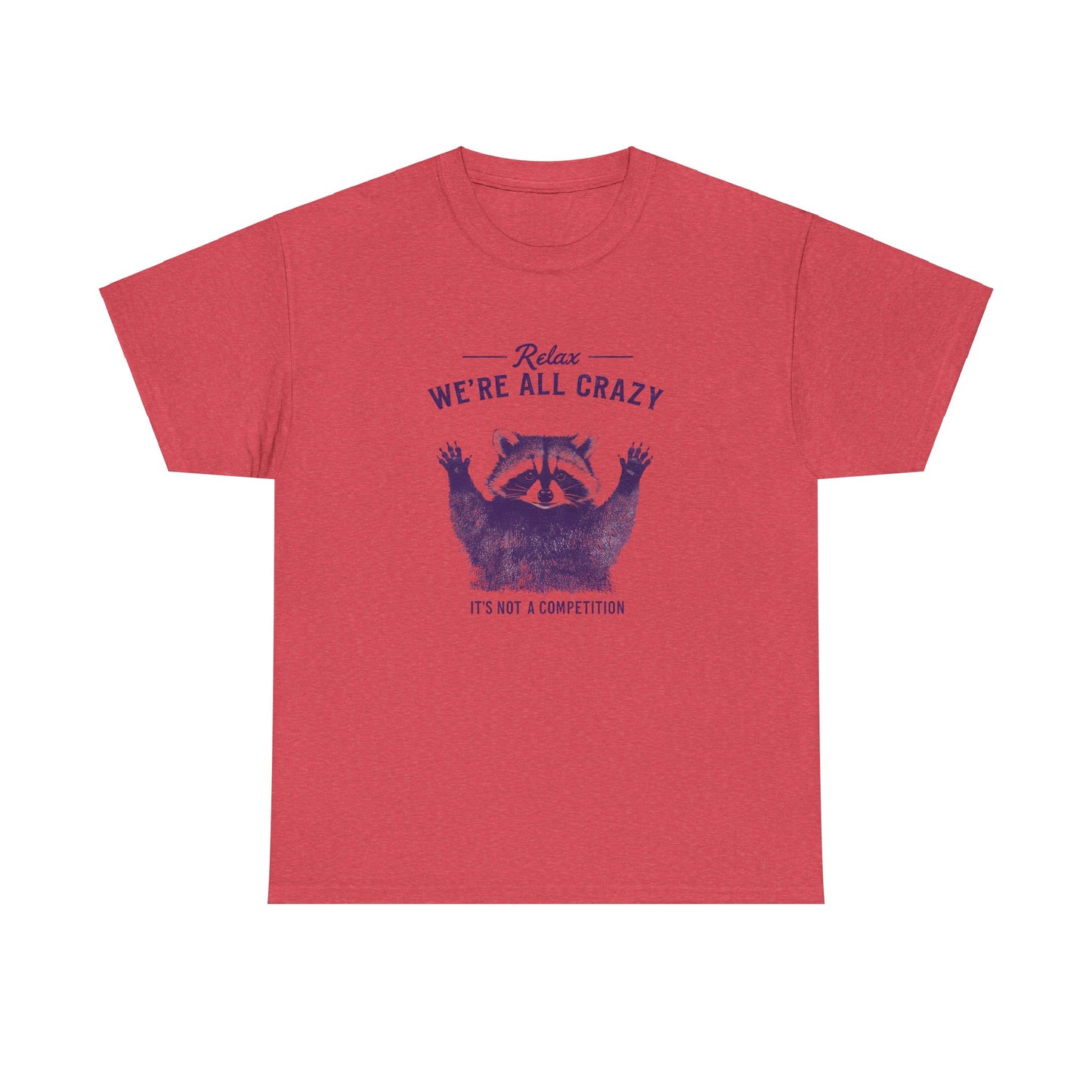 Vintage Classic Raccoon Tee T-Shirt