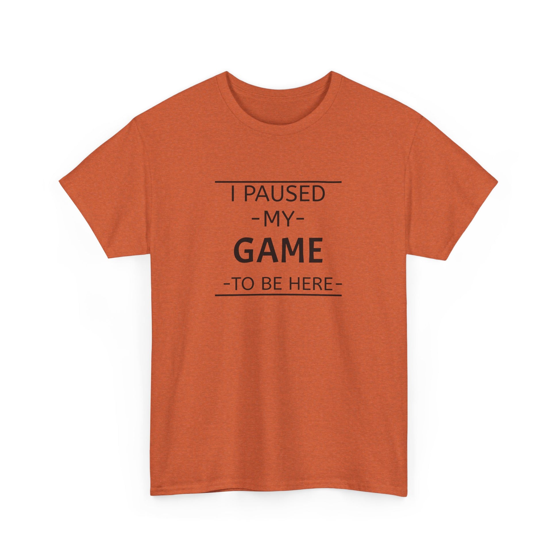 I Paused My Game To Be Here Unisex Heavy Cotton Tee Printify