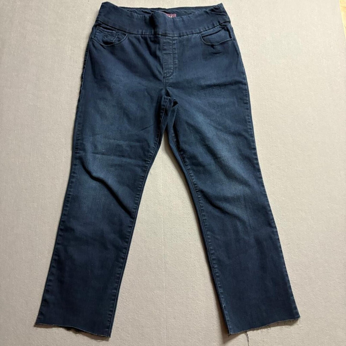 Gloria Vanderbilt Amanda Pull On Jeans Womens 14 Blue Denim Raw Hem Crop Stretch