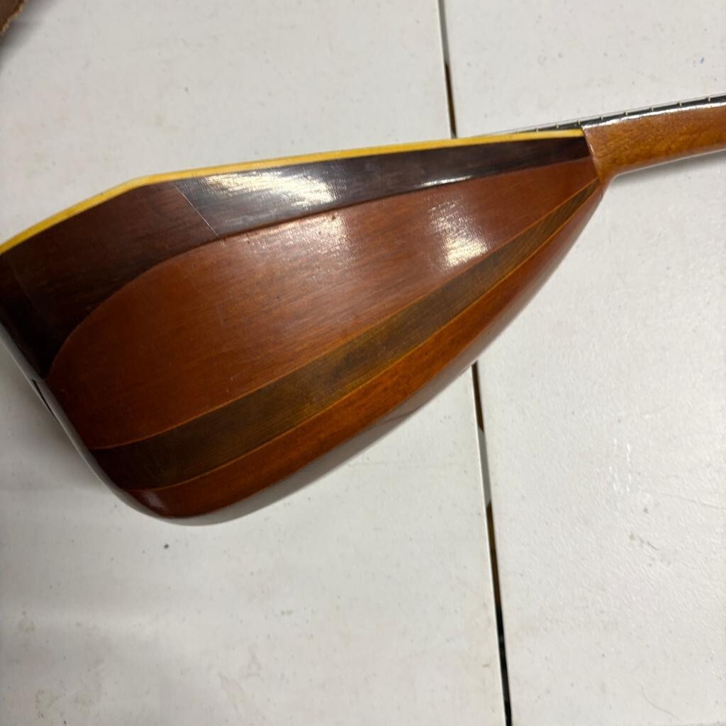 Vintage Lakeside Bowl Back Mandolin 8 String Tater Bug with Original Case