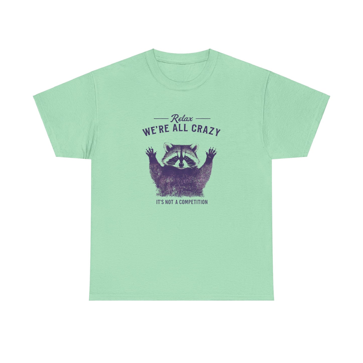 Vintage Classic Raccoon Tee T-Shirt