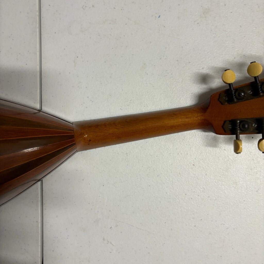 Vintage Lakeside Bowl Back Mandolin 8 String Tater Bug with Original Case