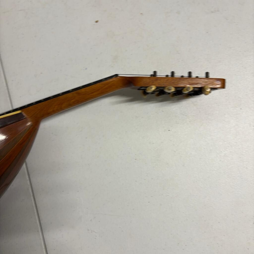 Vintage Lakeside Bowl Back Mandolin 8 String Tater Bug with Original Case
