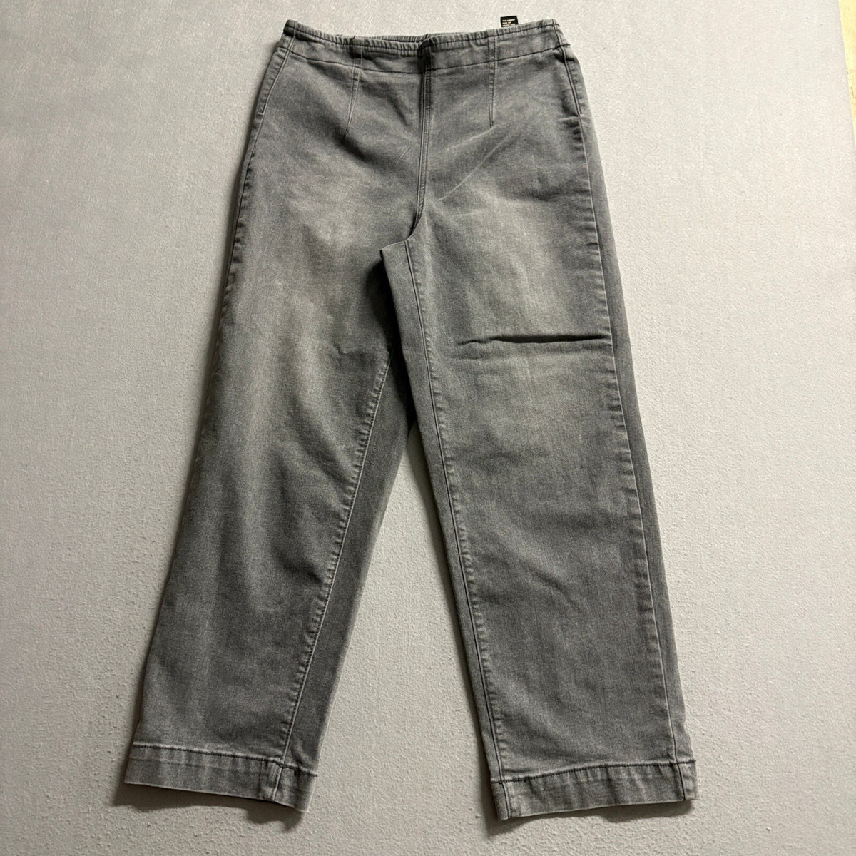 Diane Gilman DG2 Classic Stretch Denim Pants Womens Size 10T Gray Pull On Jeans