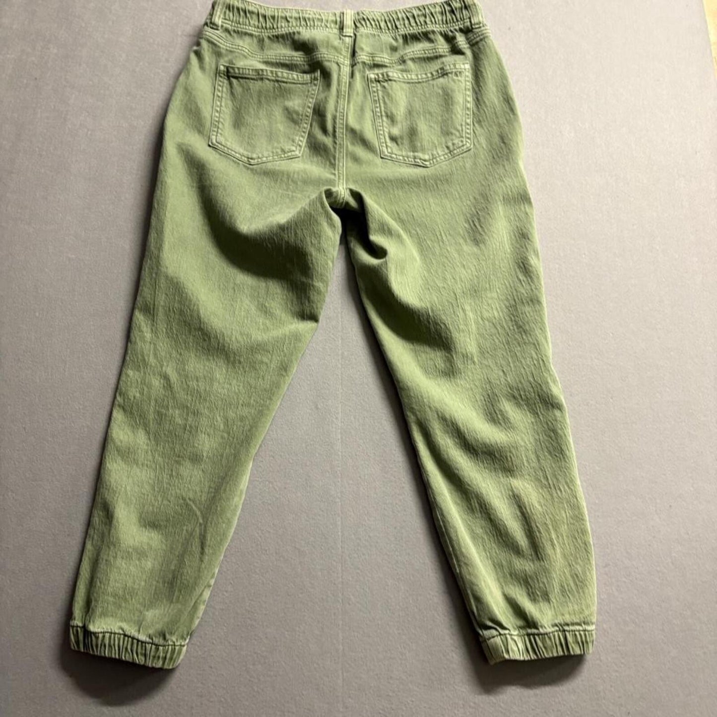 American Eagle Jogger Pants Womens 12 Regular Green Denim Stretch Elastic Waist