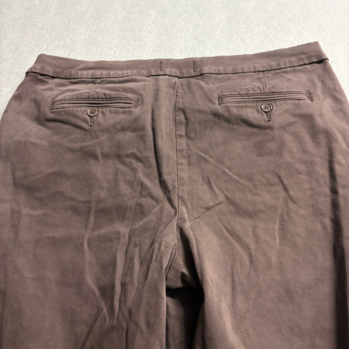 Lila Ryan Womens Pants Size 14 Brown Stretch Cotton Tencel Blend Casual Chino