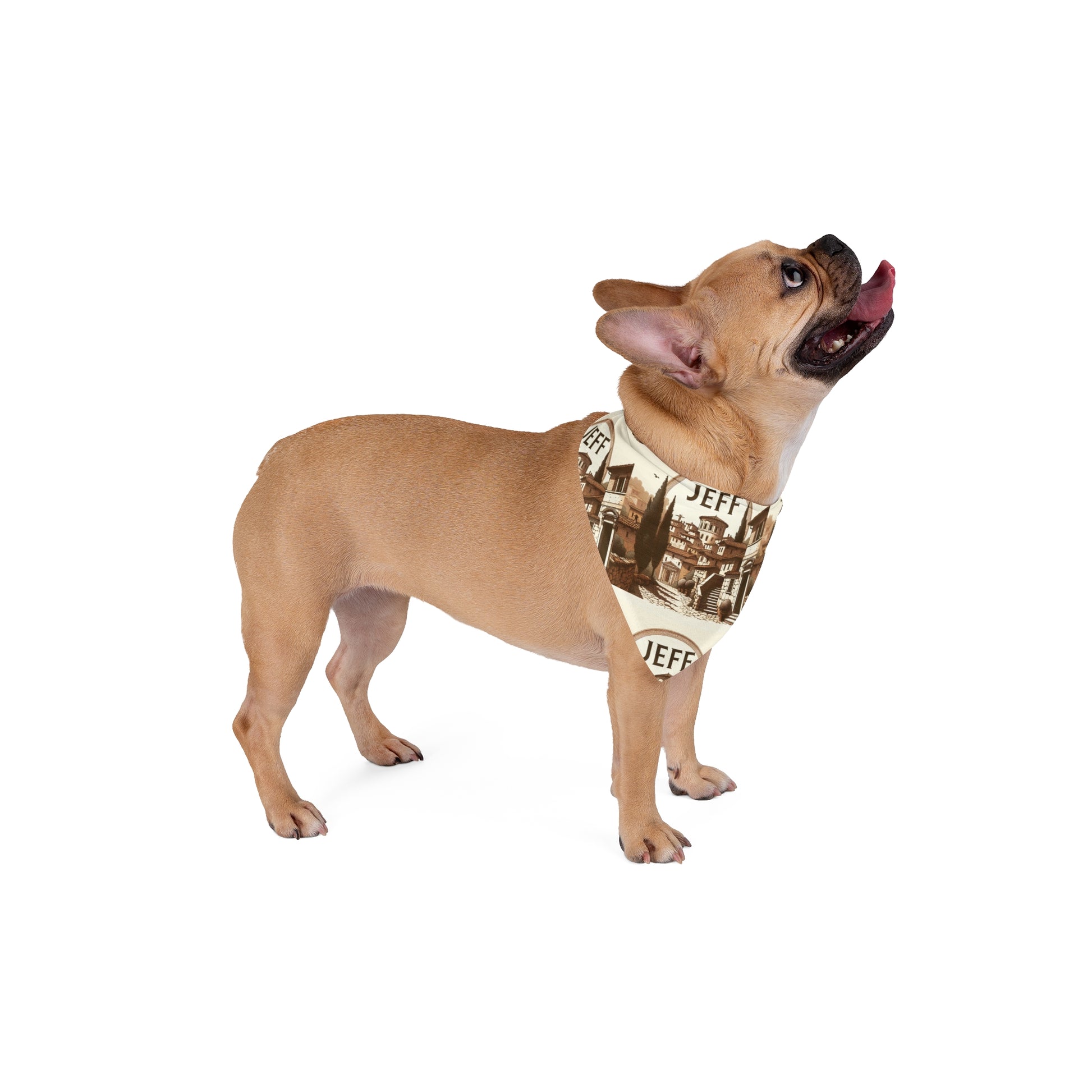 My Name is Jeff Gladiator Theme Pet Bandana Printify