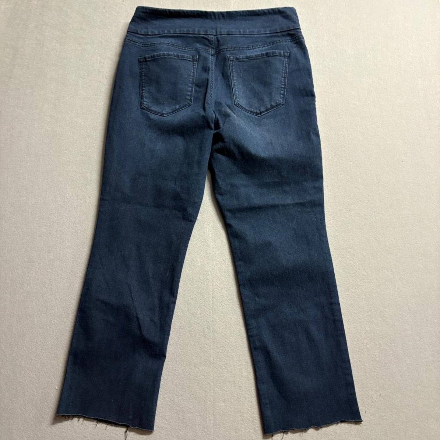 Gloria Vanderbilt Amanda Pull On Jeans Womens 14 Blue Denim Raw Hem Crop Stretch