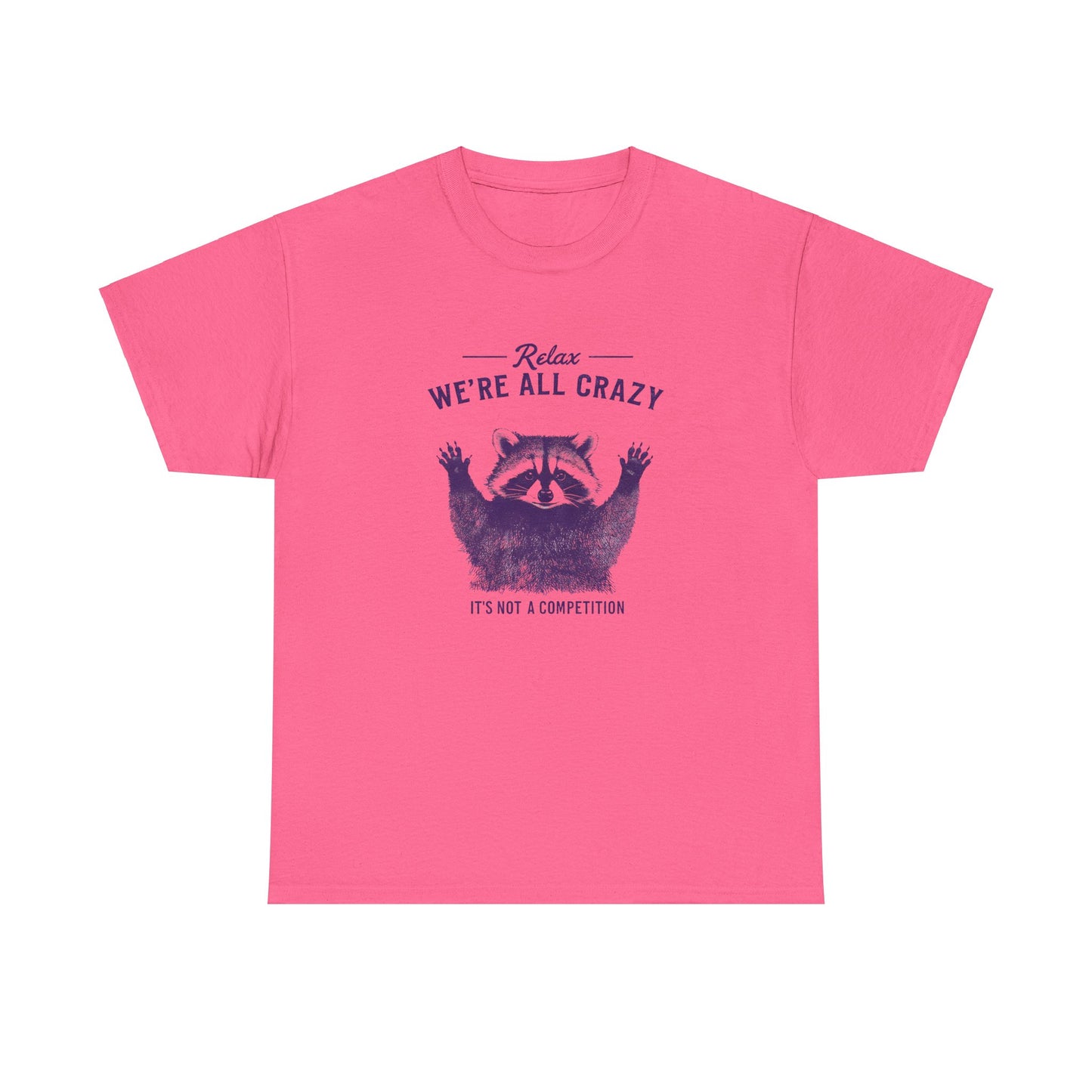 Vintage Classic Raccoon Tee T-Shirt