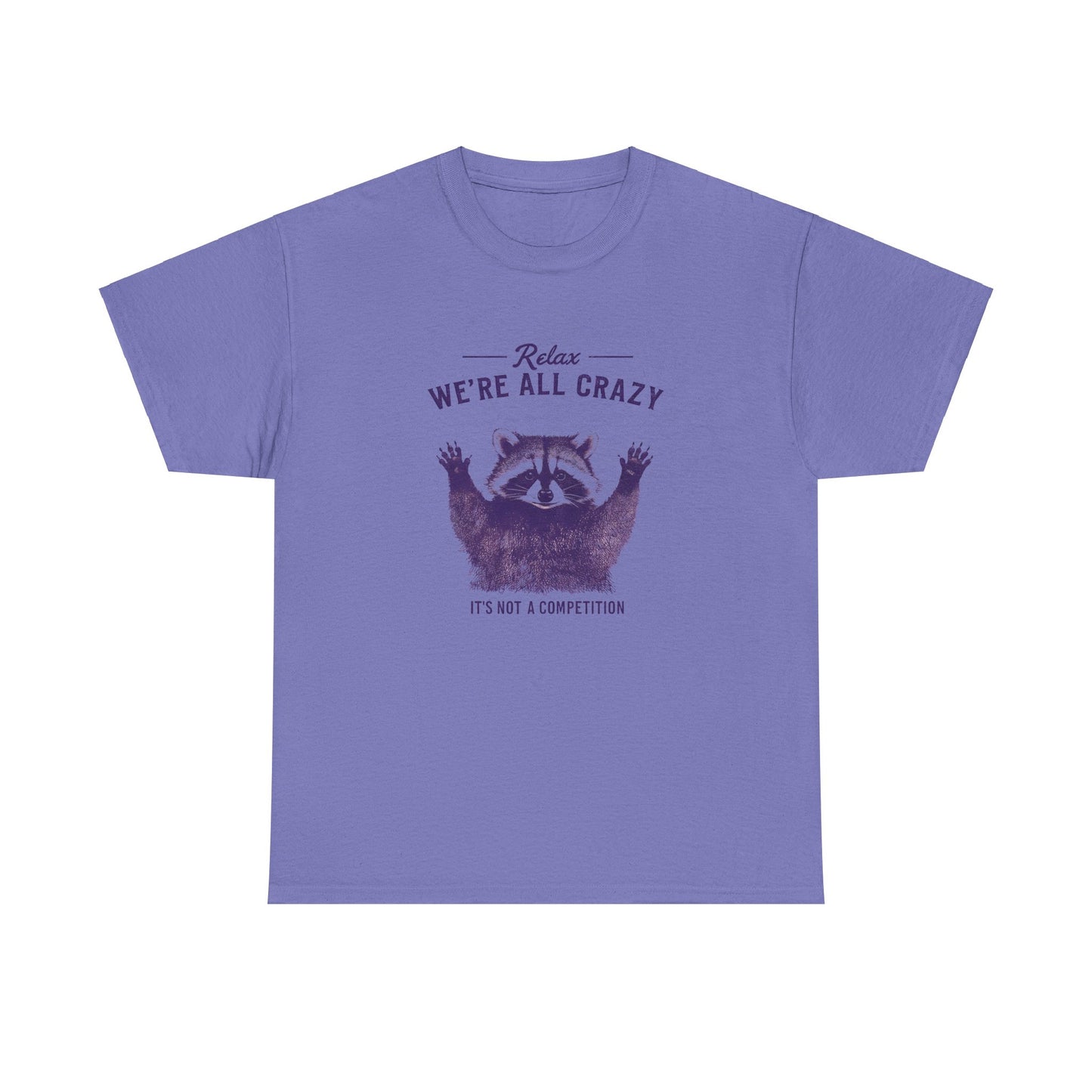 Vintage Classic Raccoon Tee T-Shirt