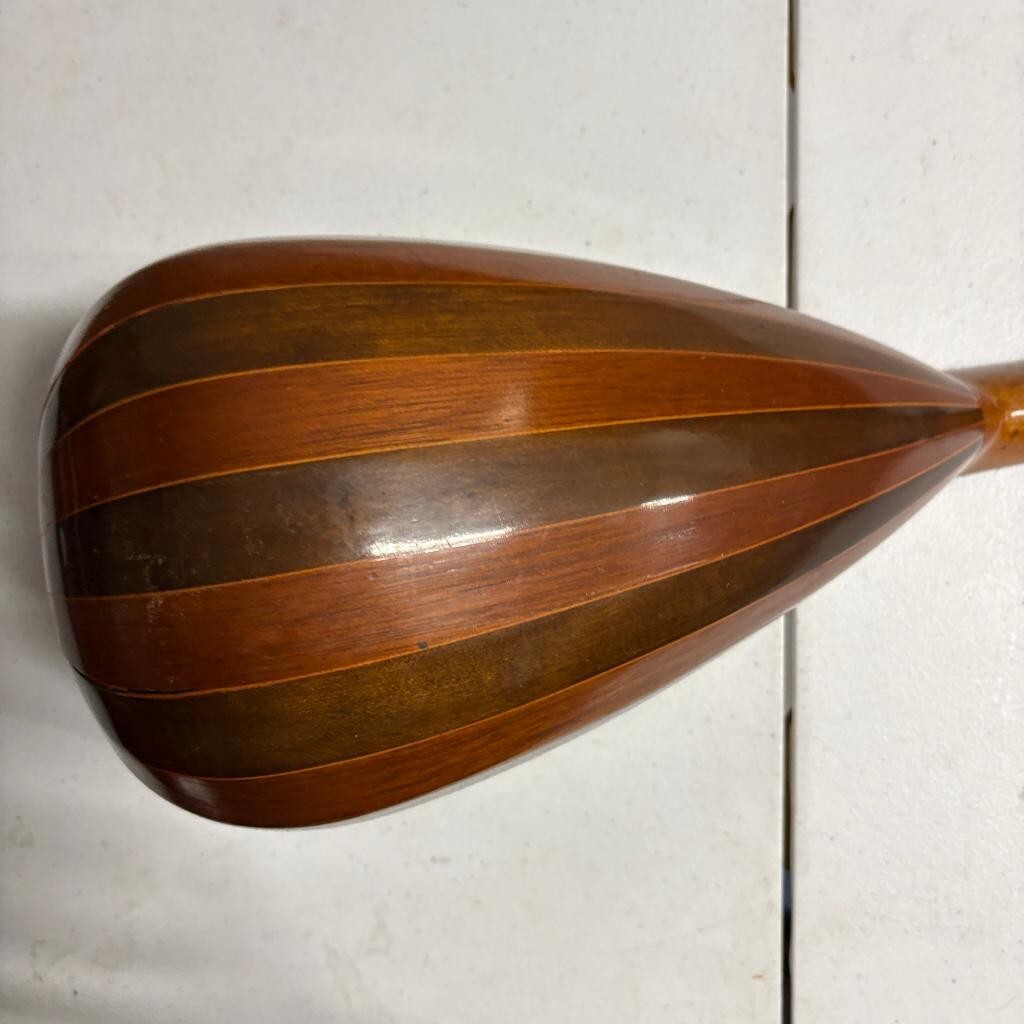 Vintage Lakeside Bowl Back Mandolin 8 String Tater Bug with Original Case