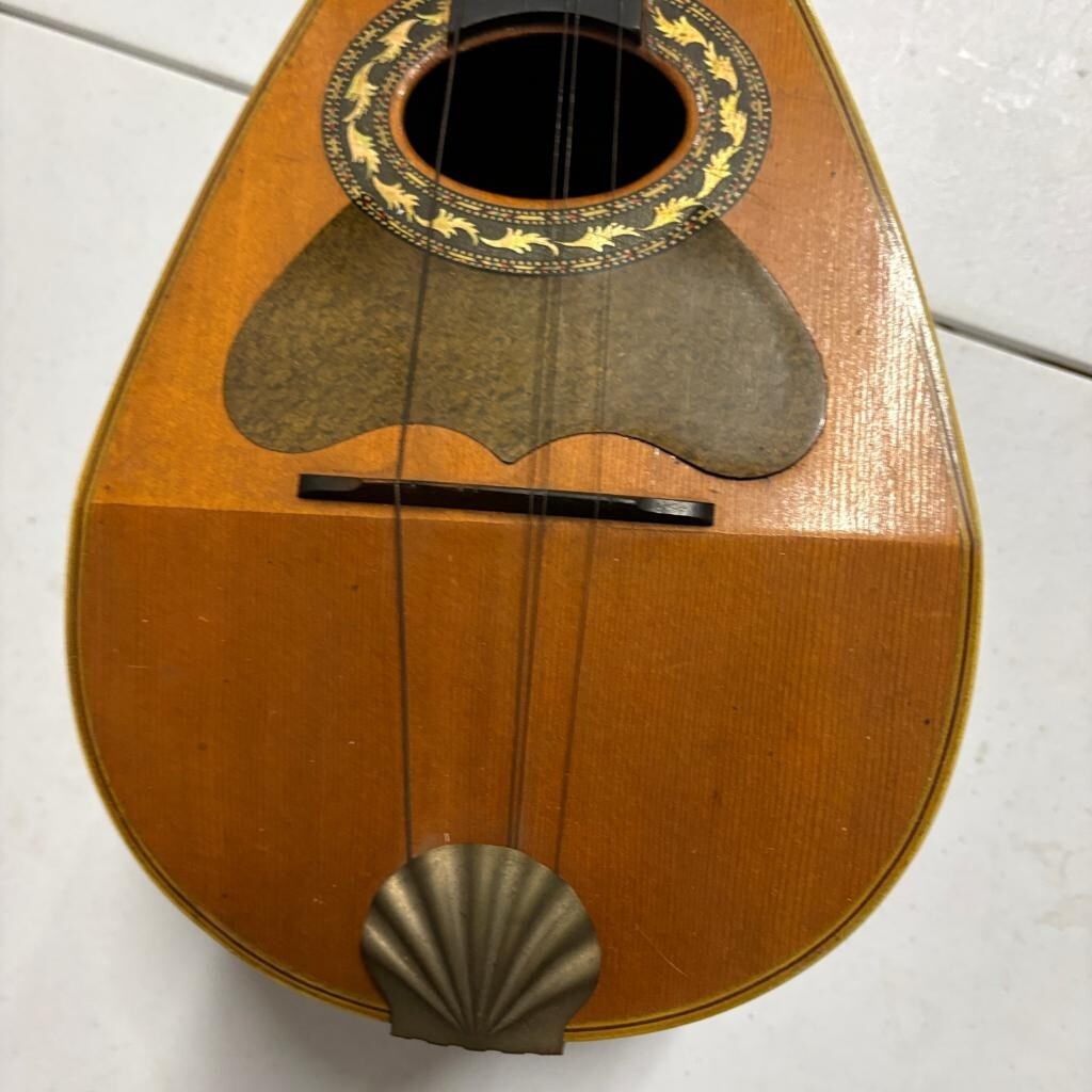 Vintage Lakeside Bowl Back Mandolin 8 String Tater Bug with Original Case