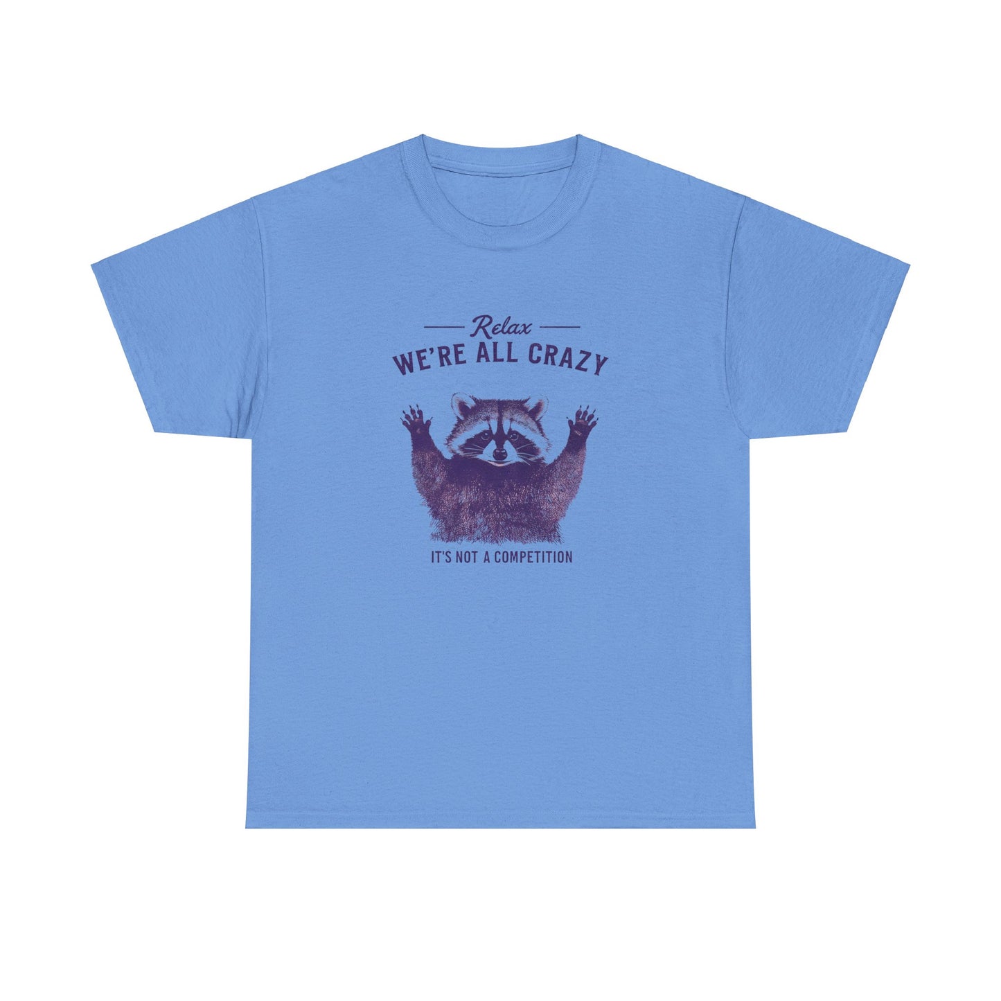 Vintage Classic Raccoon Tee T-Shirt