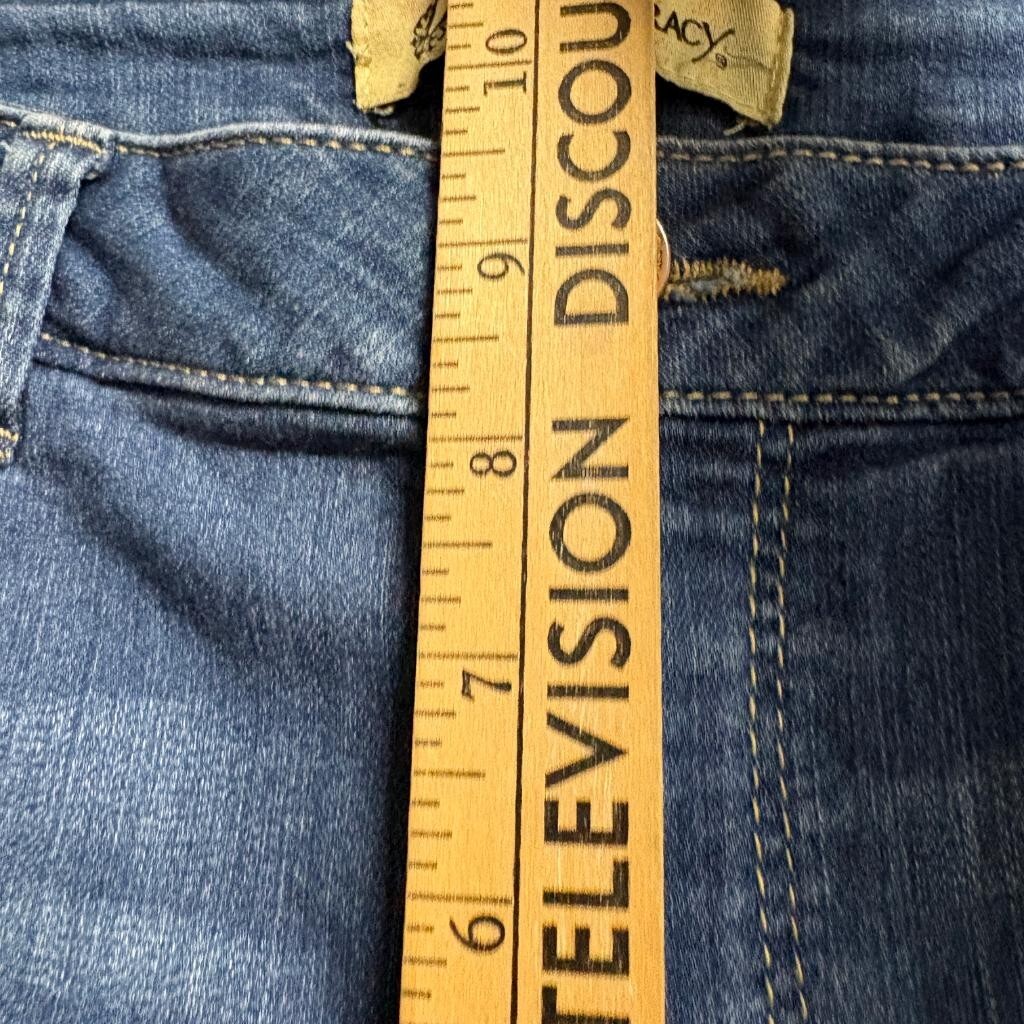 Democracy Freedom Ankle Skimmer Jeans Womens 10 Blue Stretch Denim Cropped