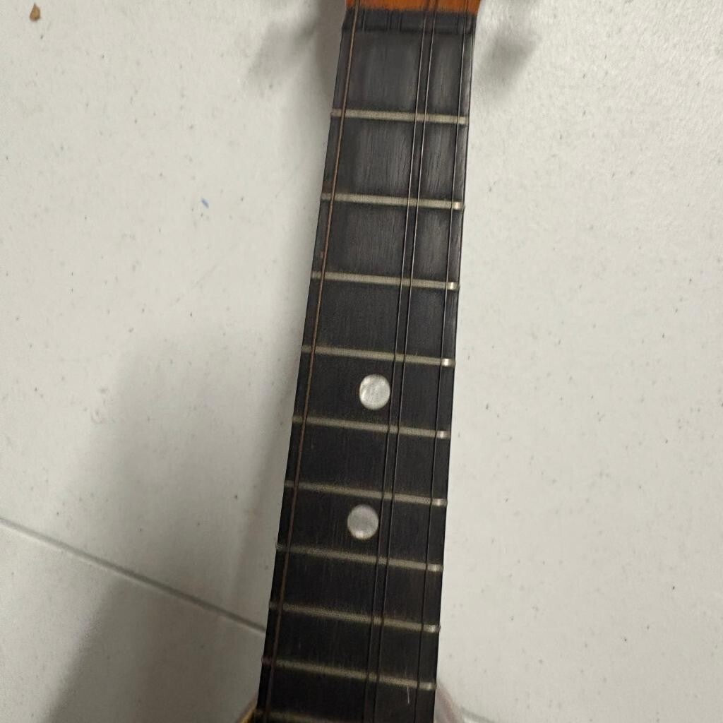Vintage Lakeside Bowl Back Mandolin 8 String Tater Bug with Original Case