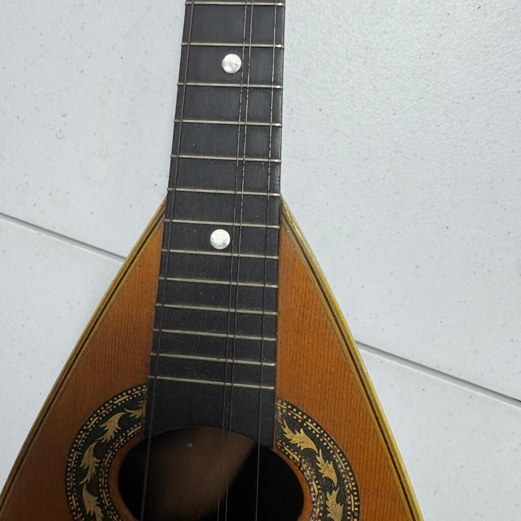 Vintage Lakeside Bowl Back Mandolin 8 String Tater Bug with Original Case